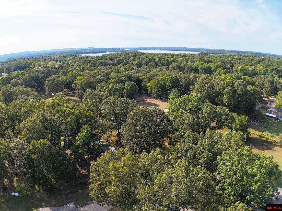 61 FRIZZEL DRIVE Lakeview, AR
