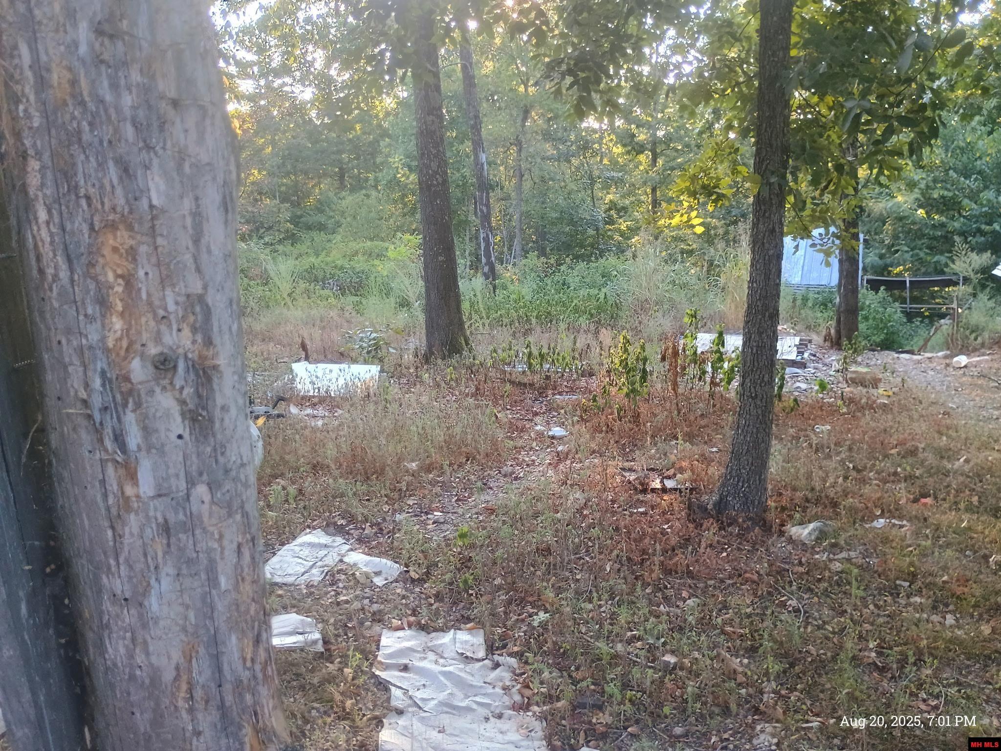 1158 BRUSHY FORK ROAD Yellville, AR