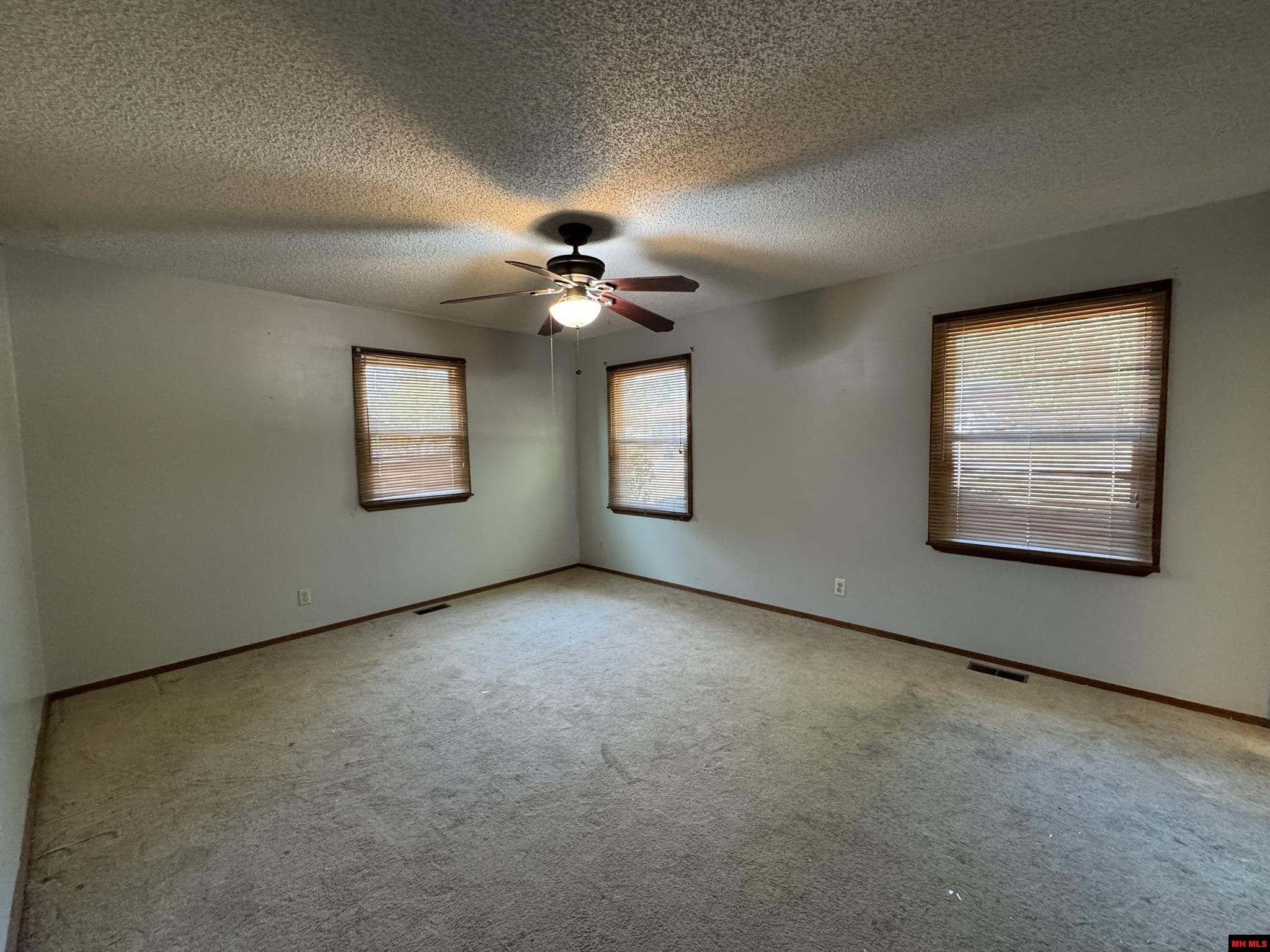 1513 BERRY LANE Mountain Home, AR 72653