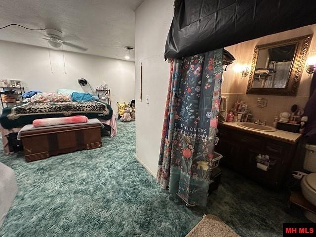 5221 HWY 178 Flippin, AR 72634