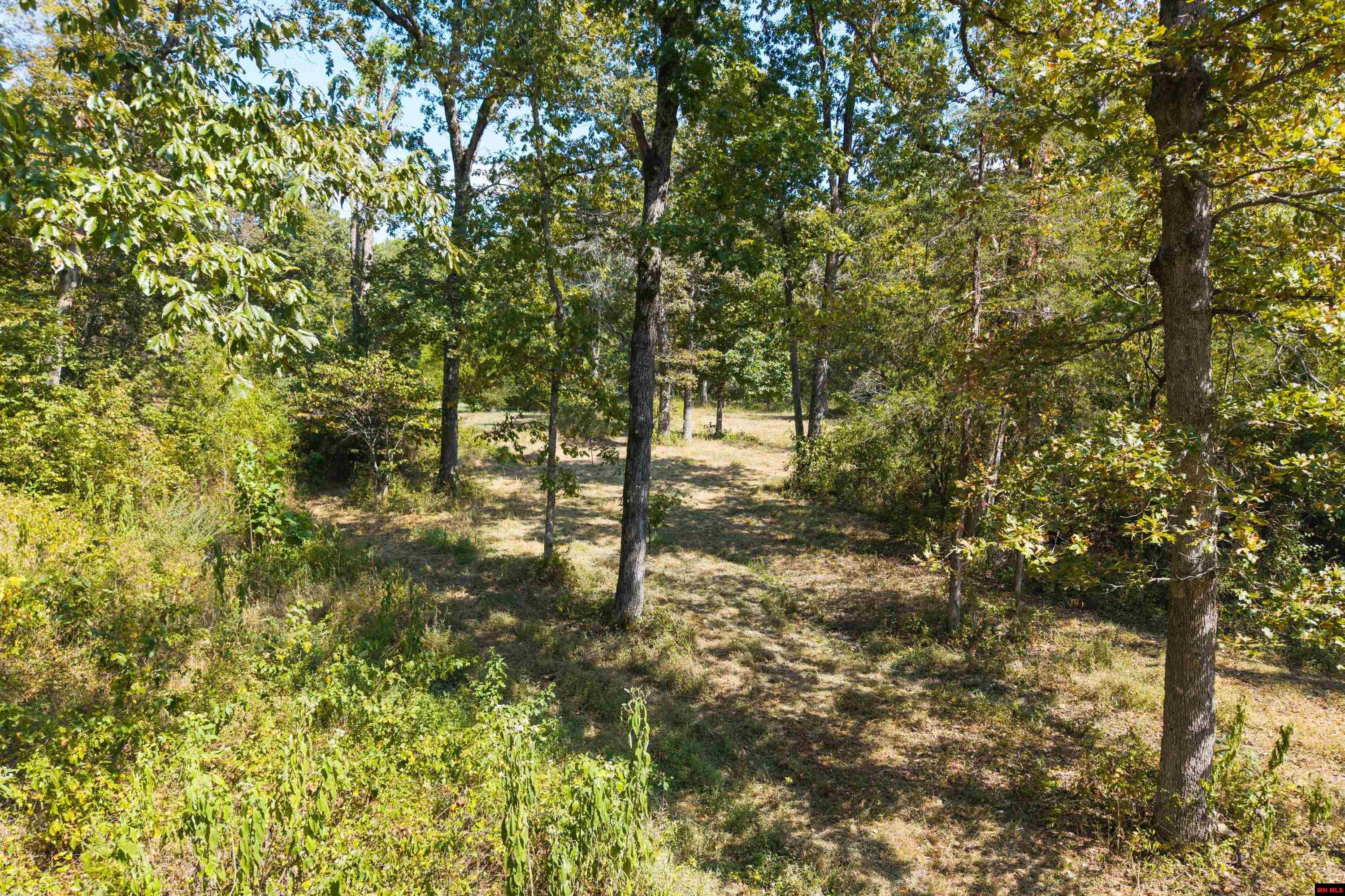 868 CR 672 Mountain Home, AR