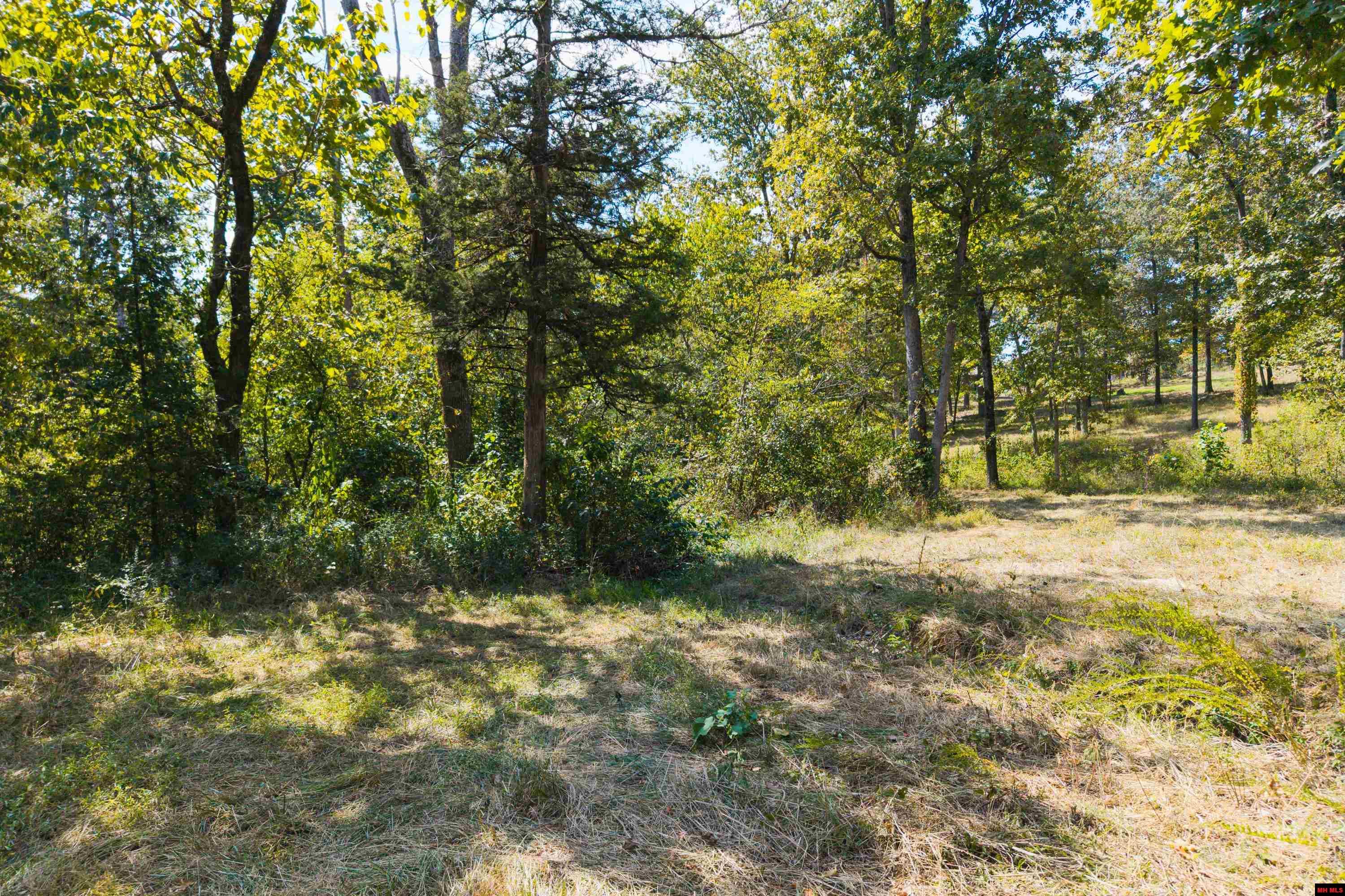 868 CR 672 Mountain Home, AR