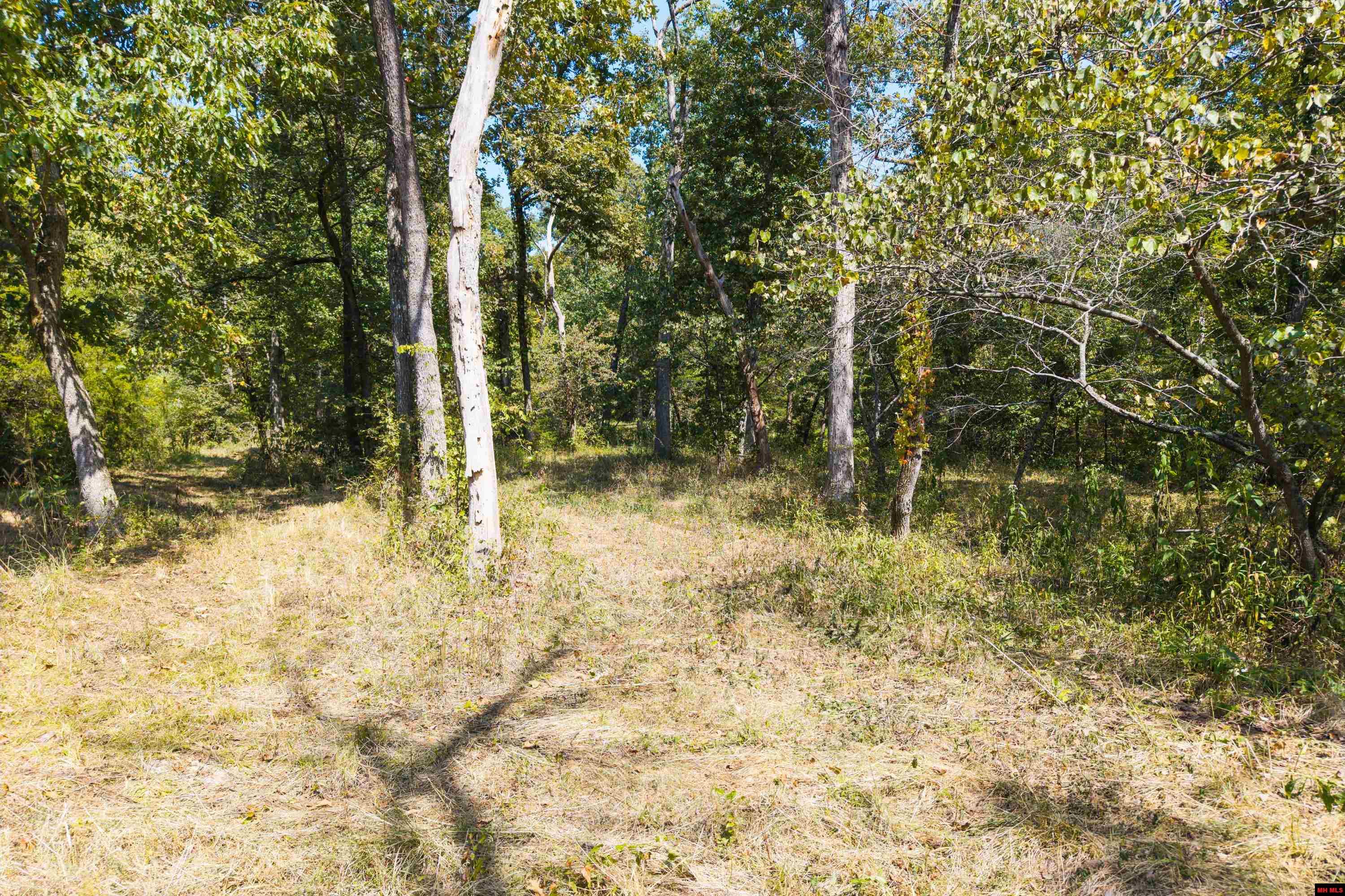 868 CR 672 Mountain Home, AR