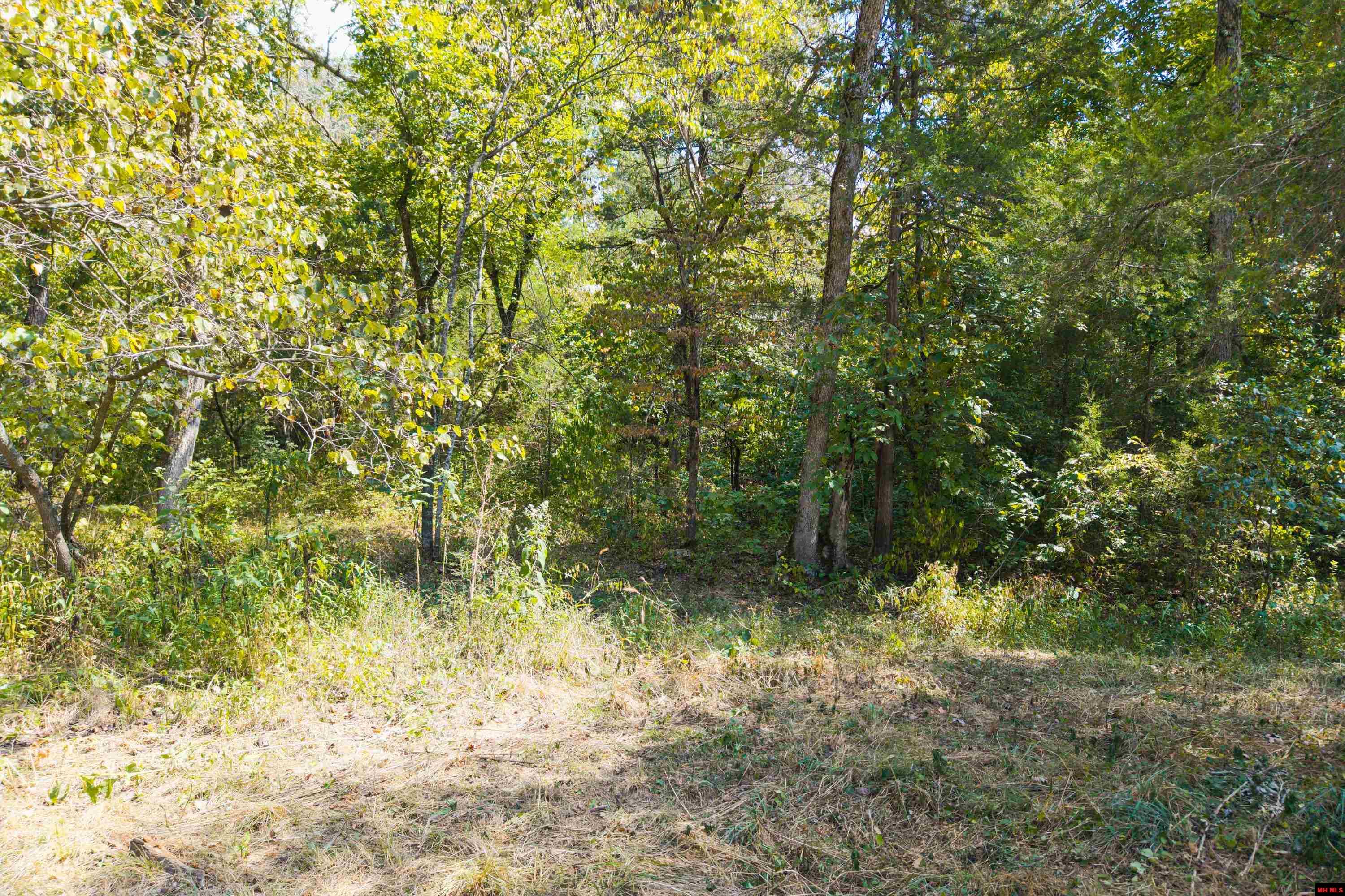 868 CR 672 Mountain Home, AR