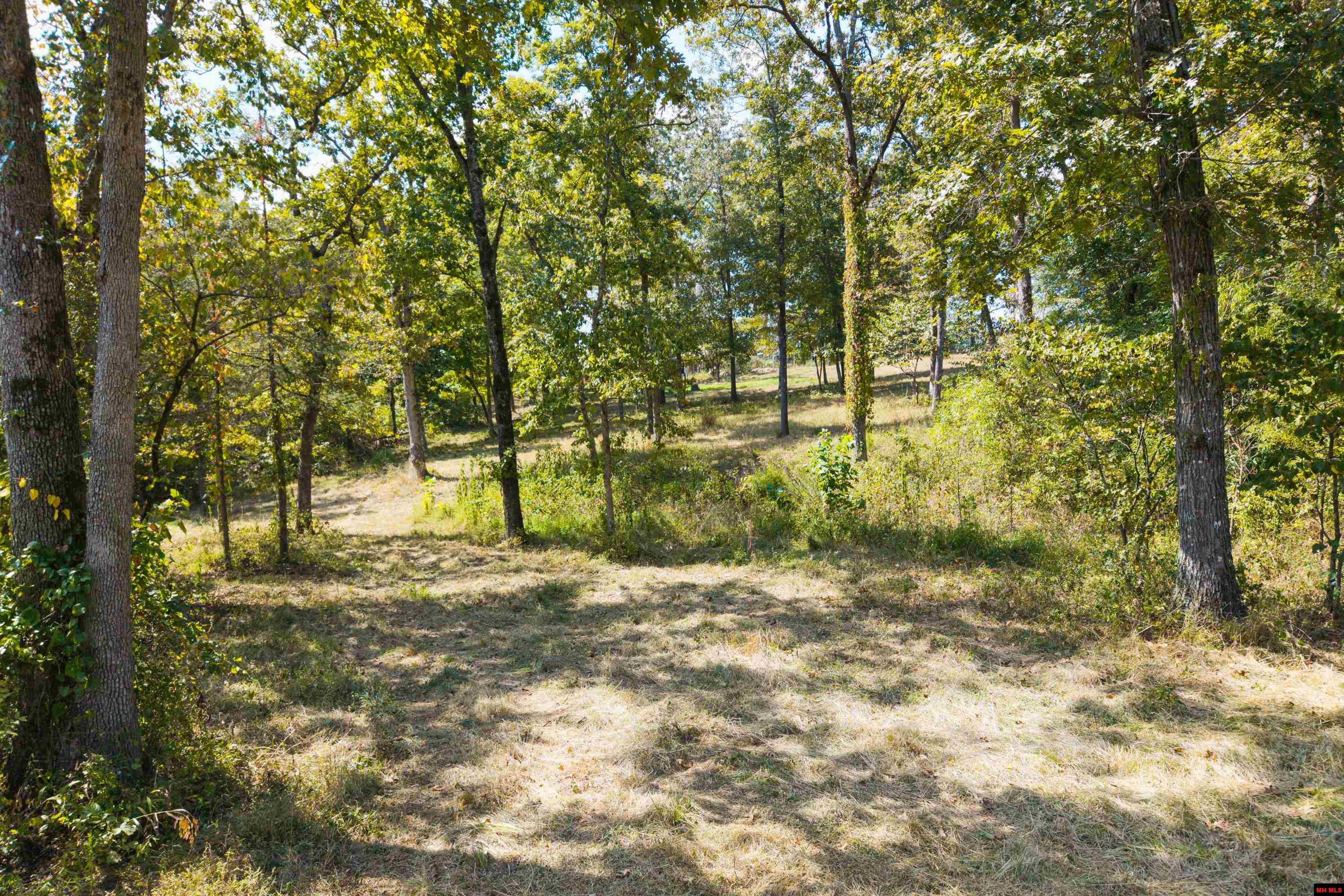 868 CR 672 Mountain Home, AR
