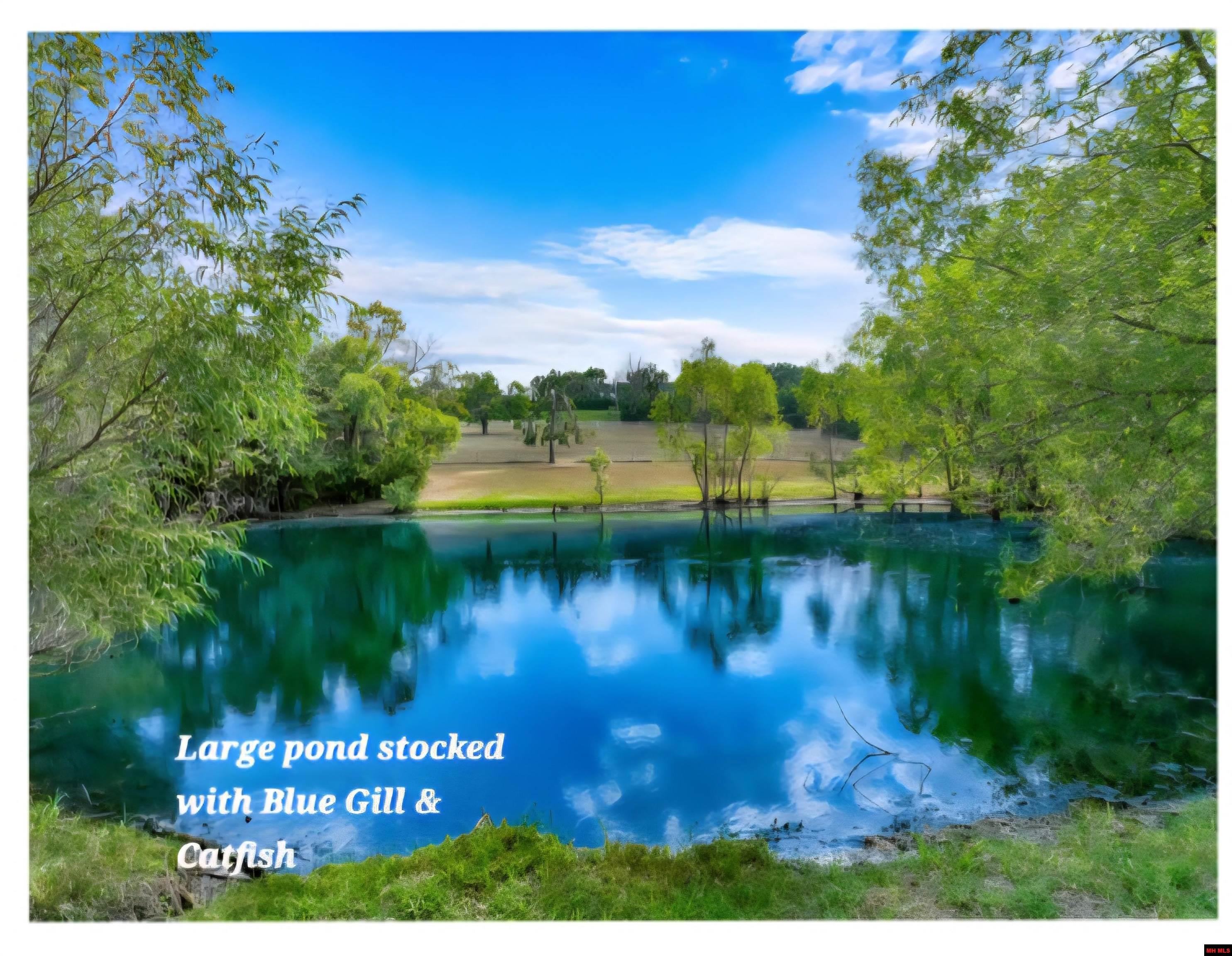 2573 WEST ROAD Mountain Home, AR