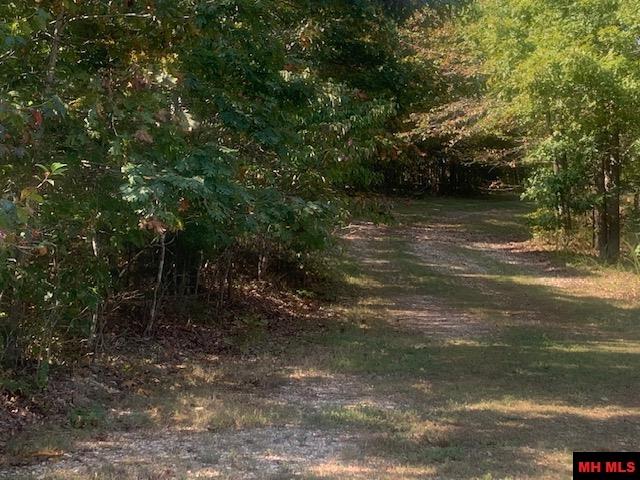 304 TATER KNOB LANE Yellville, AR