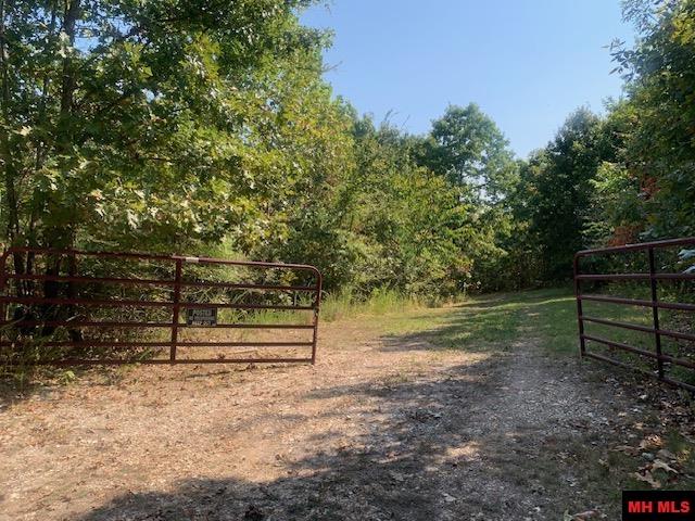 304 TATER KNOB LANE Yellville, AR