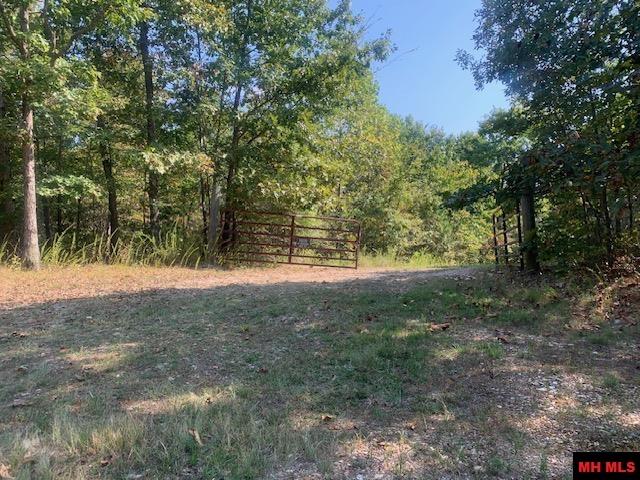 304 TATER KNOB LANE Yellville, AR