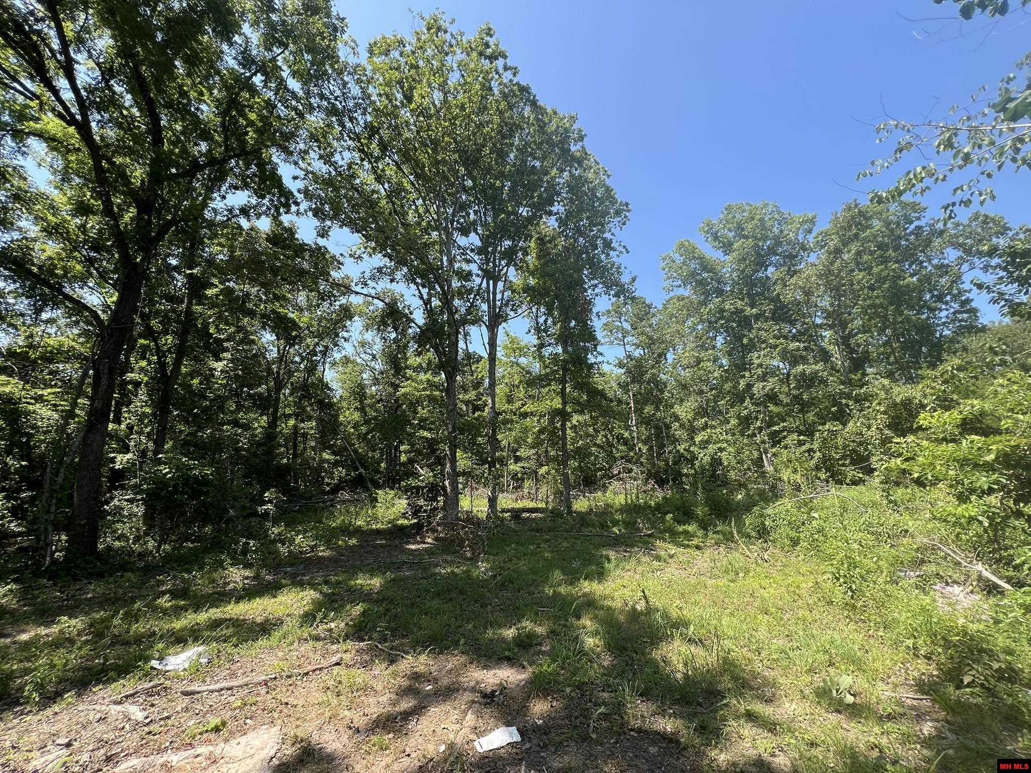 2829 MC 5032 Yellville, AR