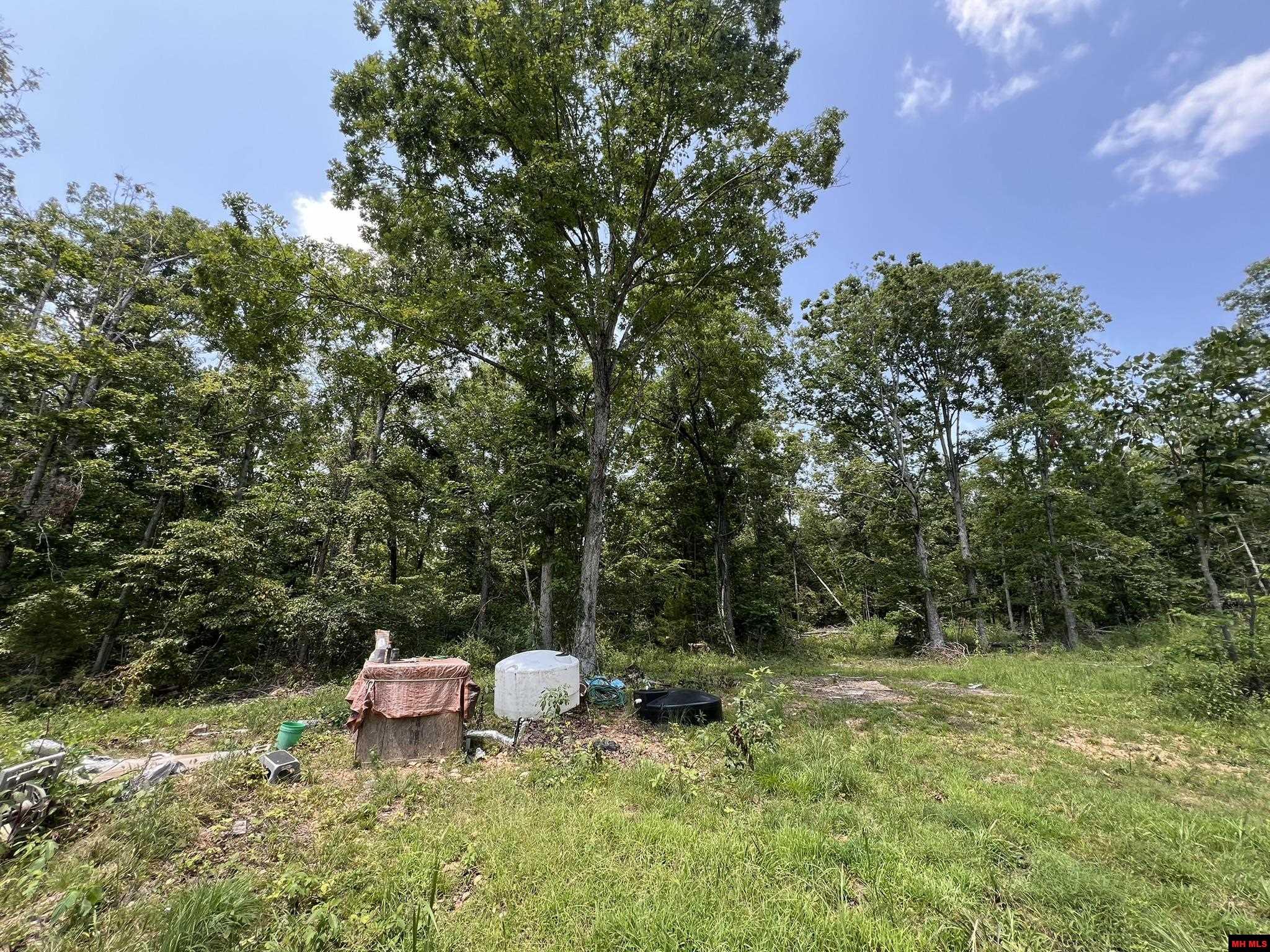 2829 MC 5032 Yellville, AR