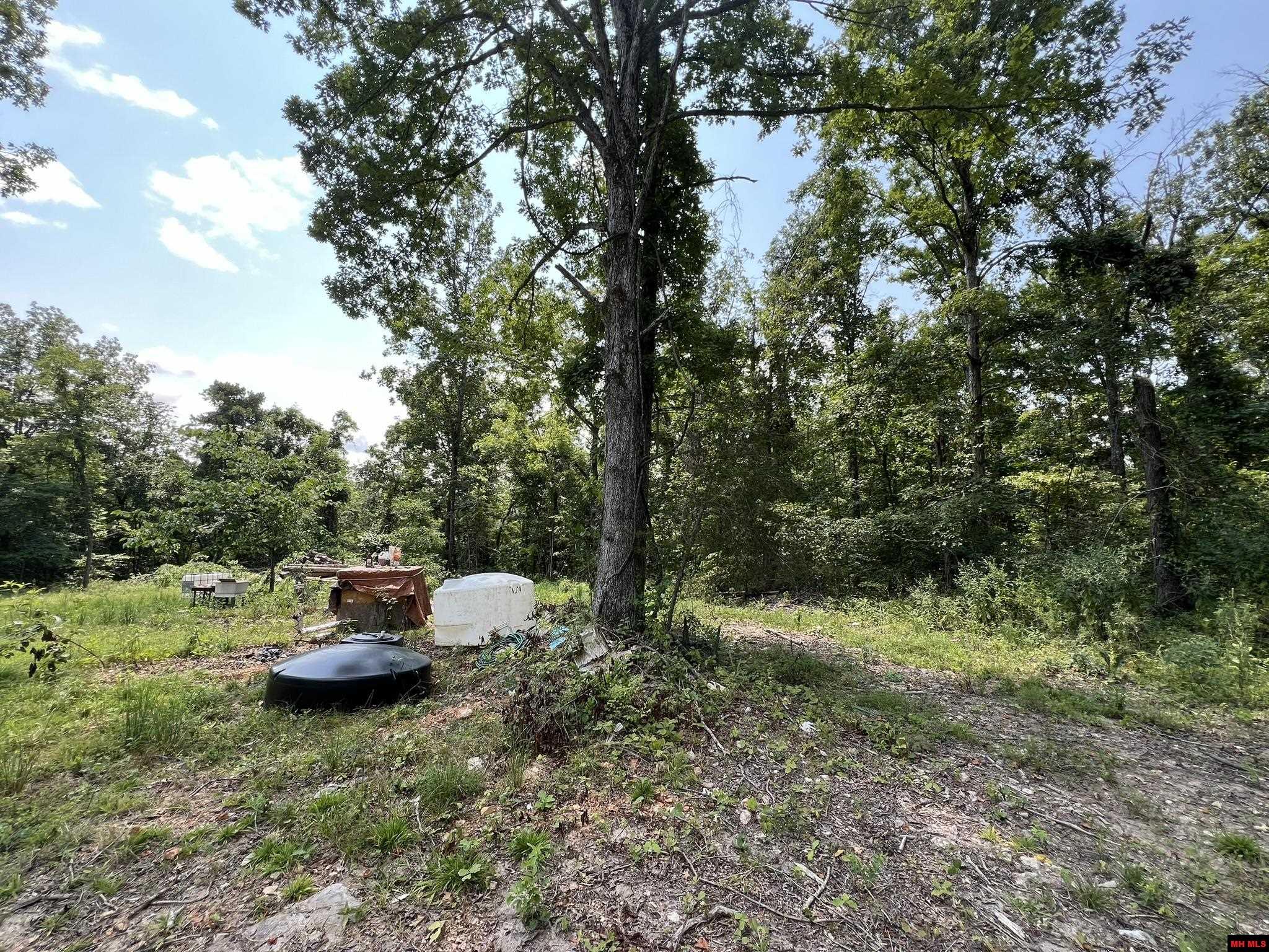 2829 MC 5032 Yellville, AR