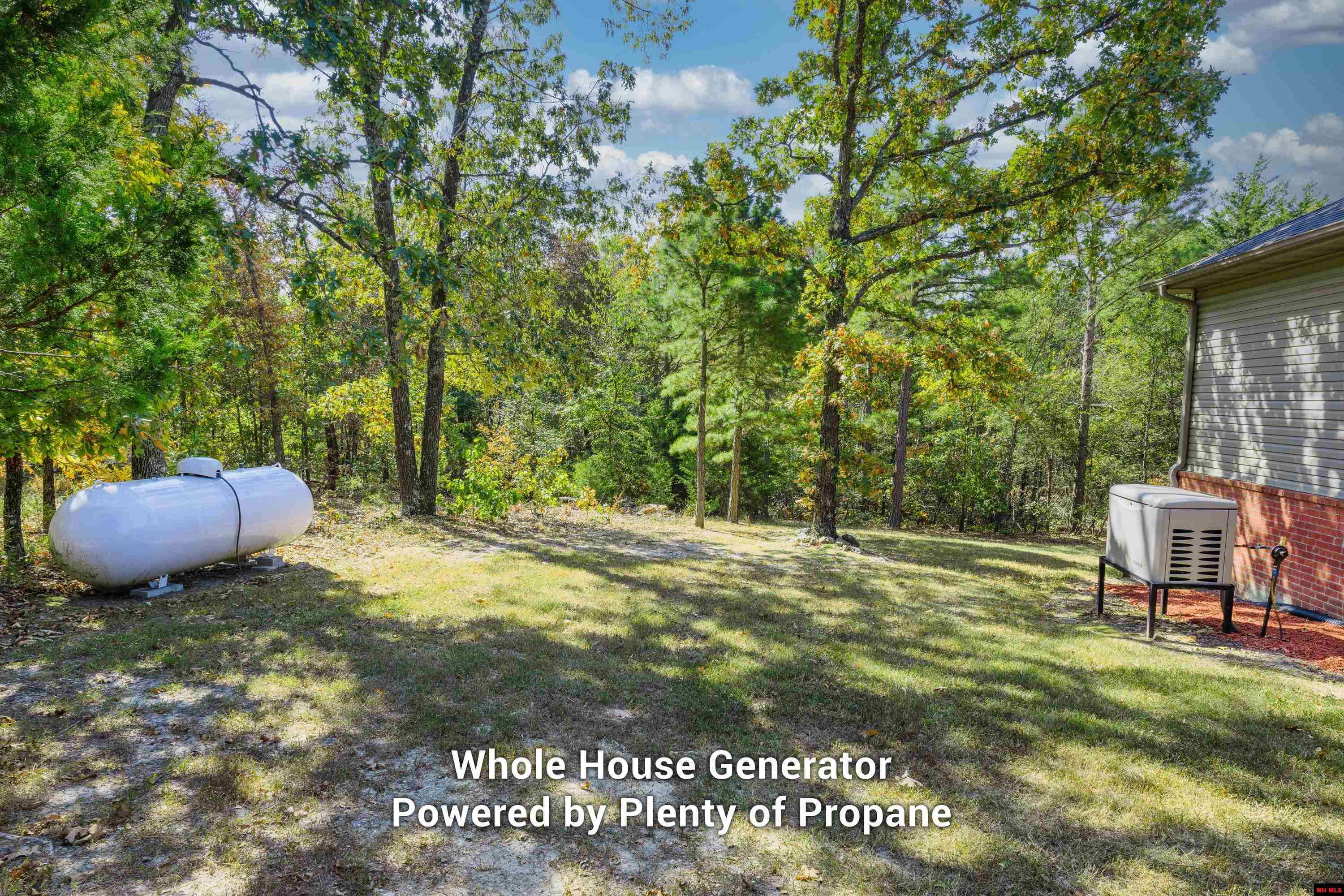 103 MOUNTAIN VALLEY DRIVE Mountain Home, AR