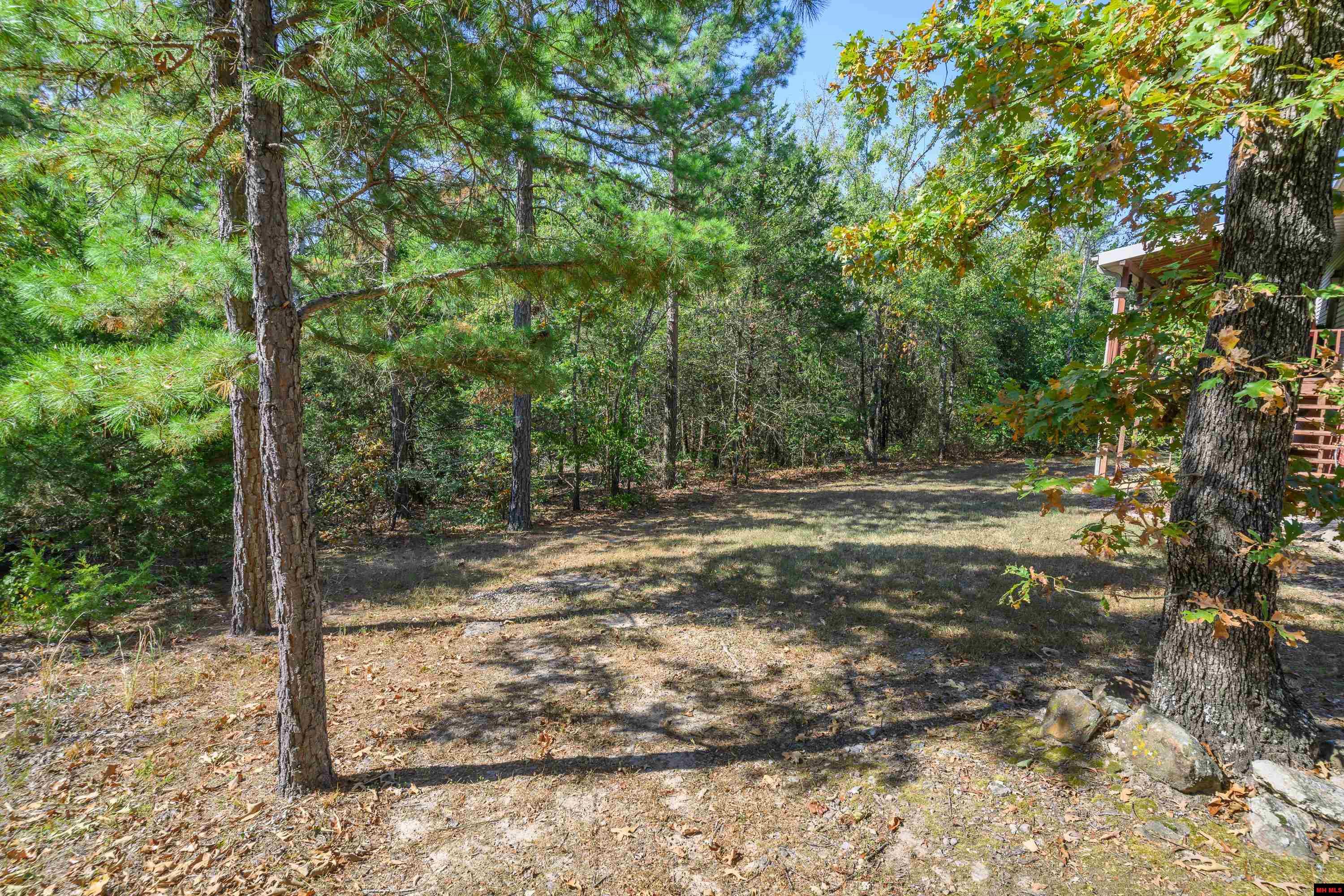 103 MOUNTAIN VALLEY DRIVE Mountain Home, AR