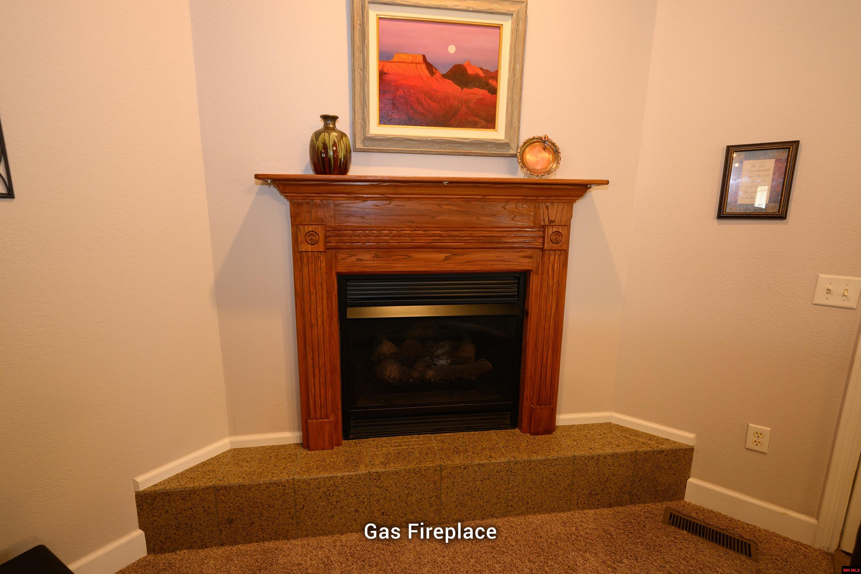 103 MOUNTAIN VALLEY DRIVE Mountain Home, AR