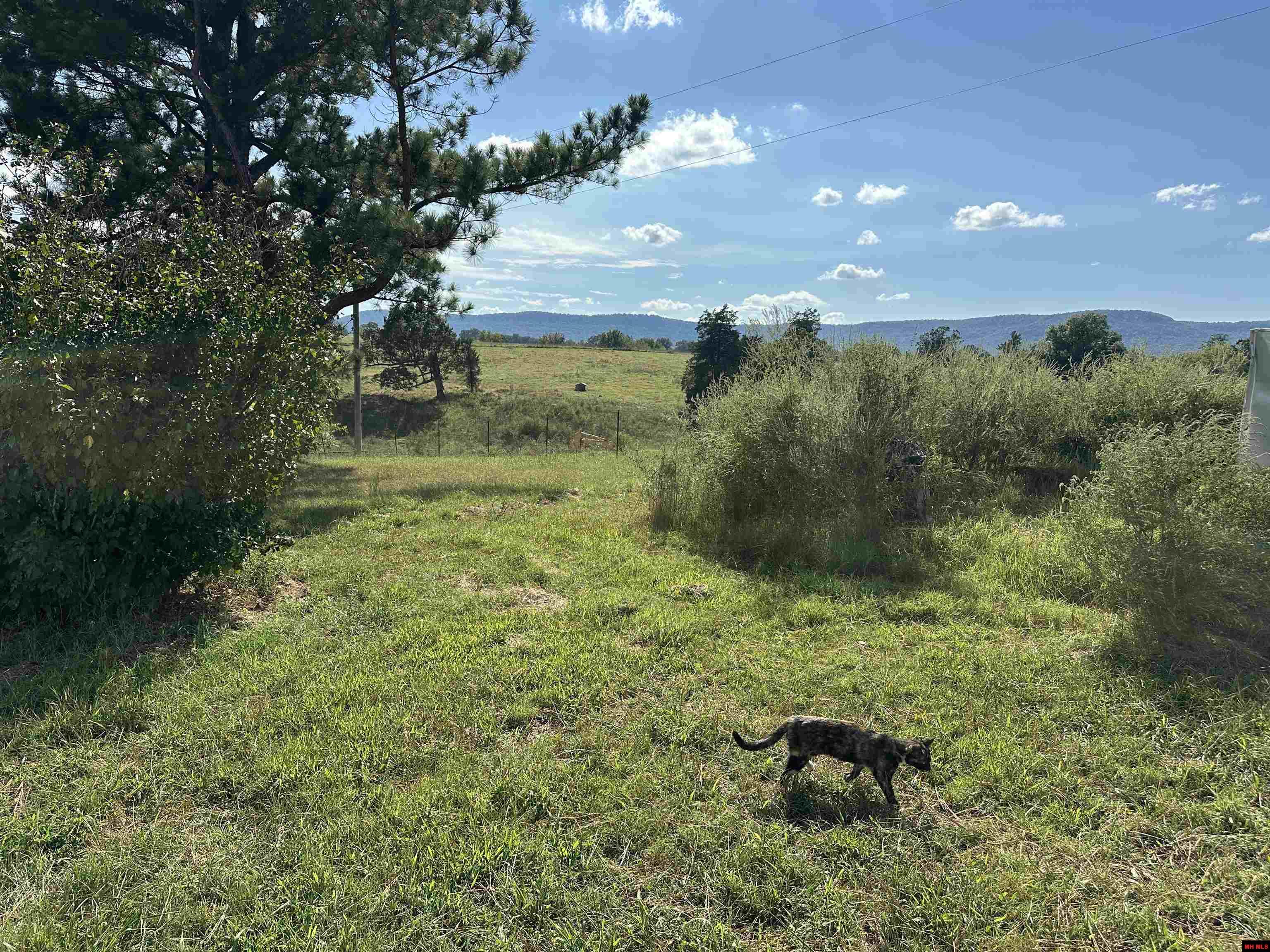 7429 WATTS ROAD Harrison, AR 72601