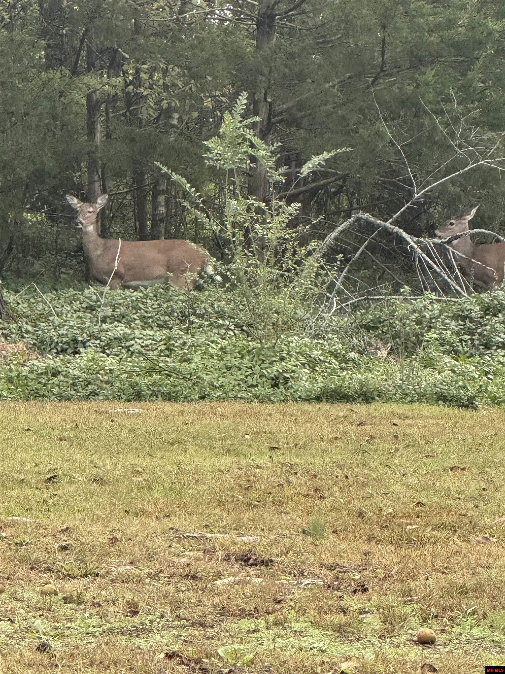 901 N ESTES AVENUE Yellville, AR