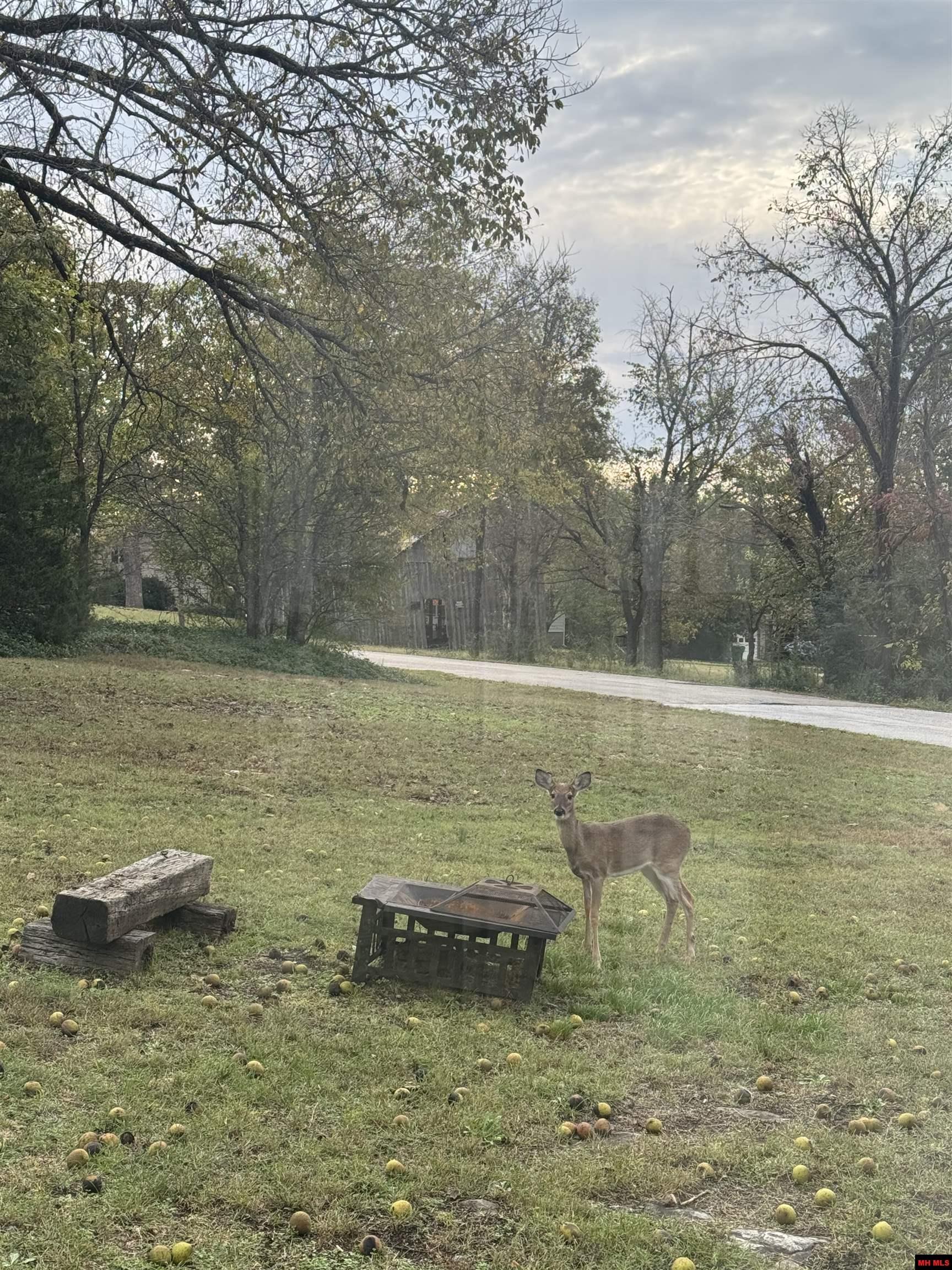 901 N ESTES AVENUE Yellville, AR