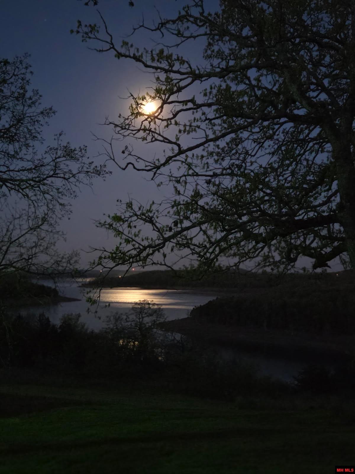 775 CR 505 Mountain Home, AR 72653