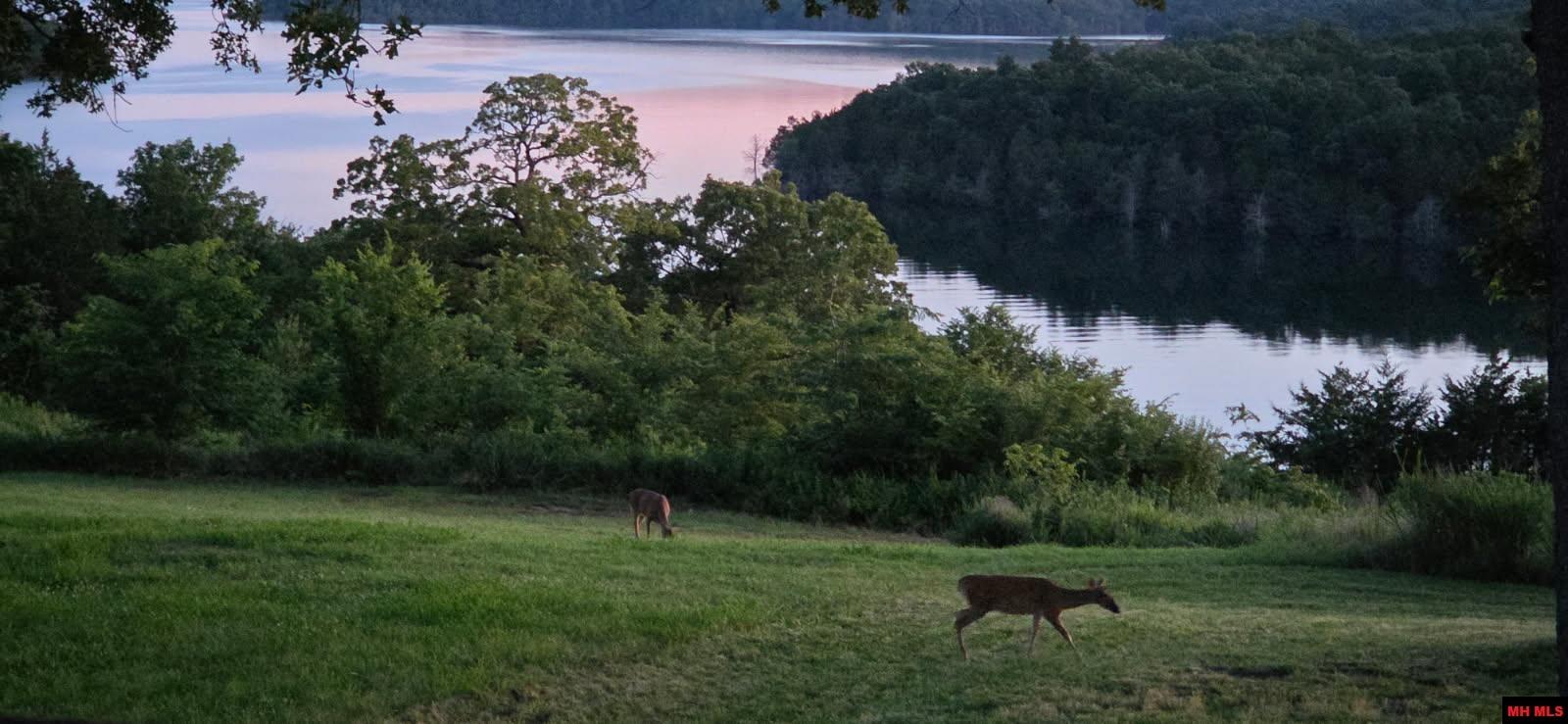 775 CR 505 Mountain Home, AR 72653
