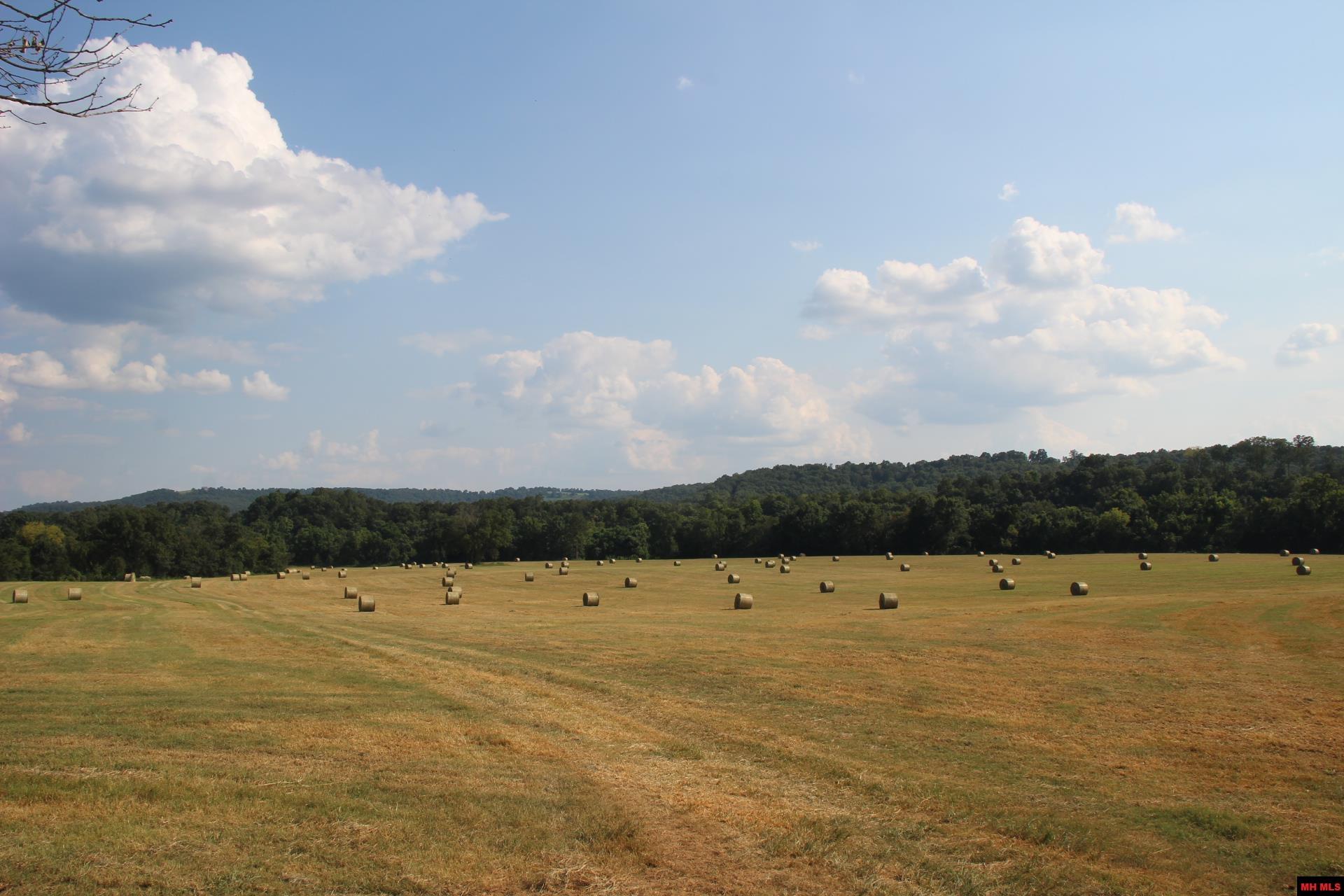 001-07419-000 Mc 4003