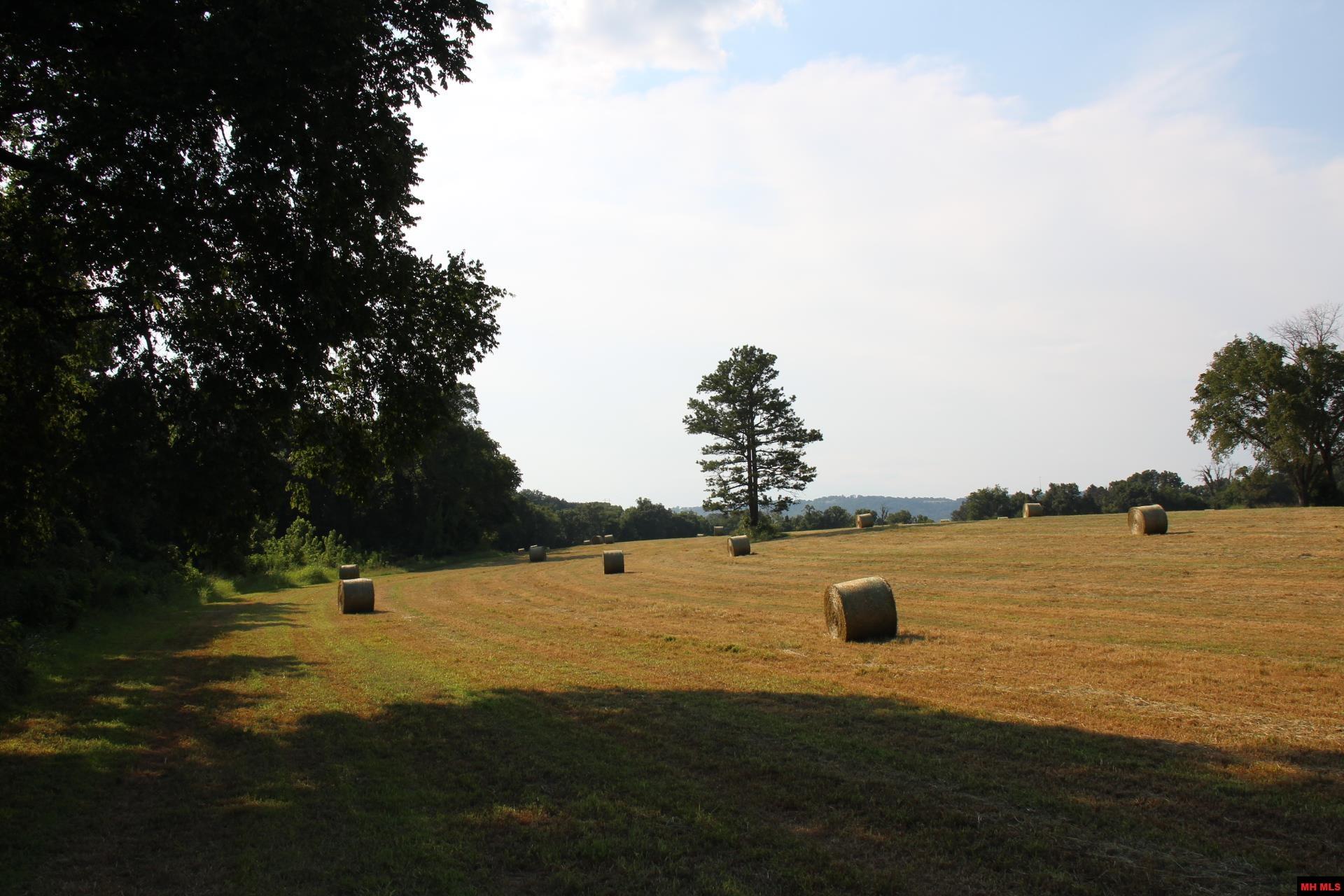 001-07419-000 Mc 4003