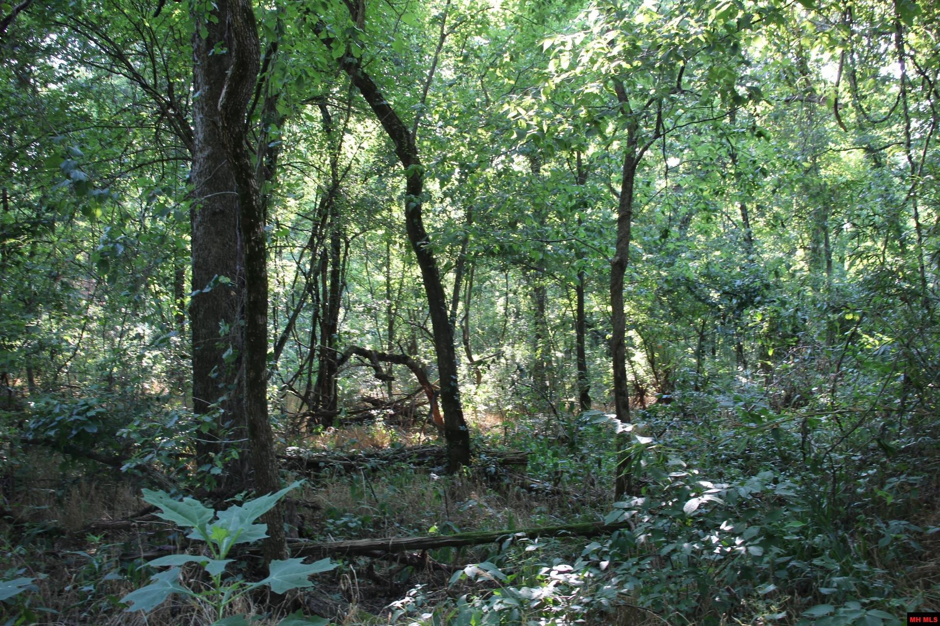 001-07419-000 Mc 4003