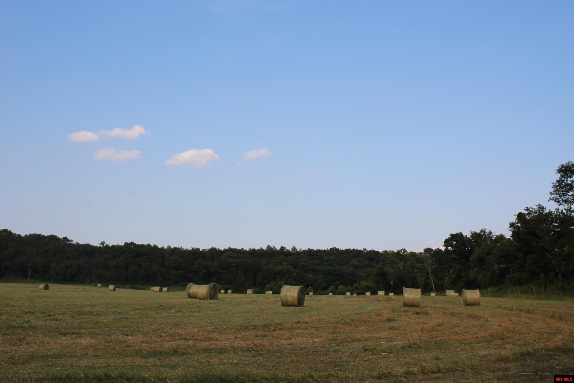 001-07419-000 Mc 4003