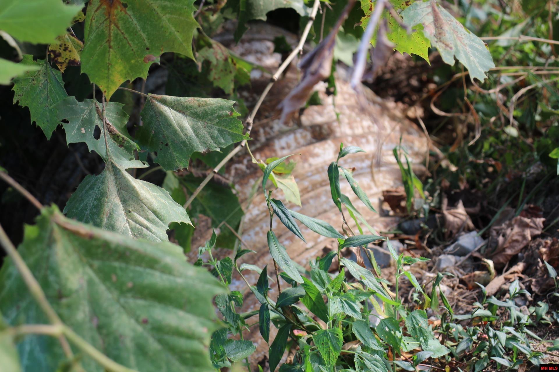 001-07419-000 Mc 4003