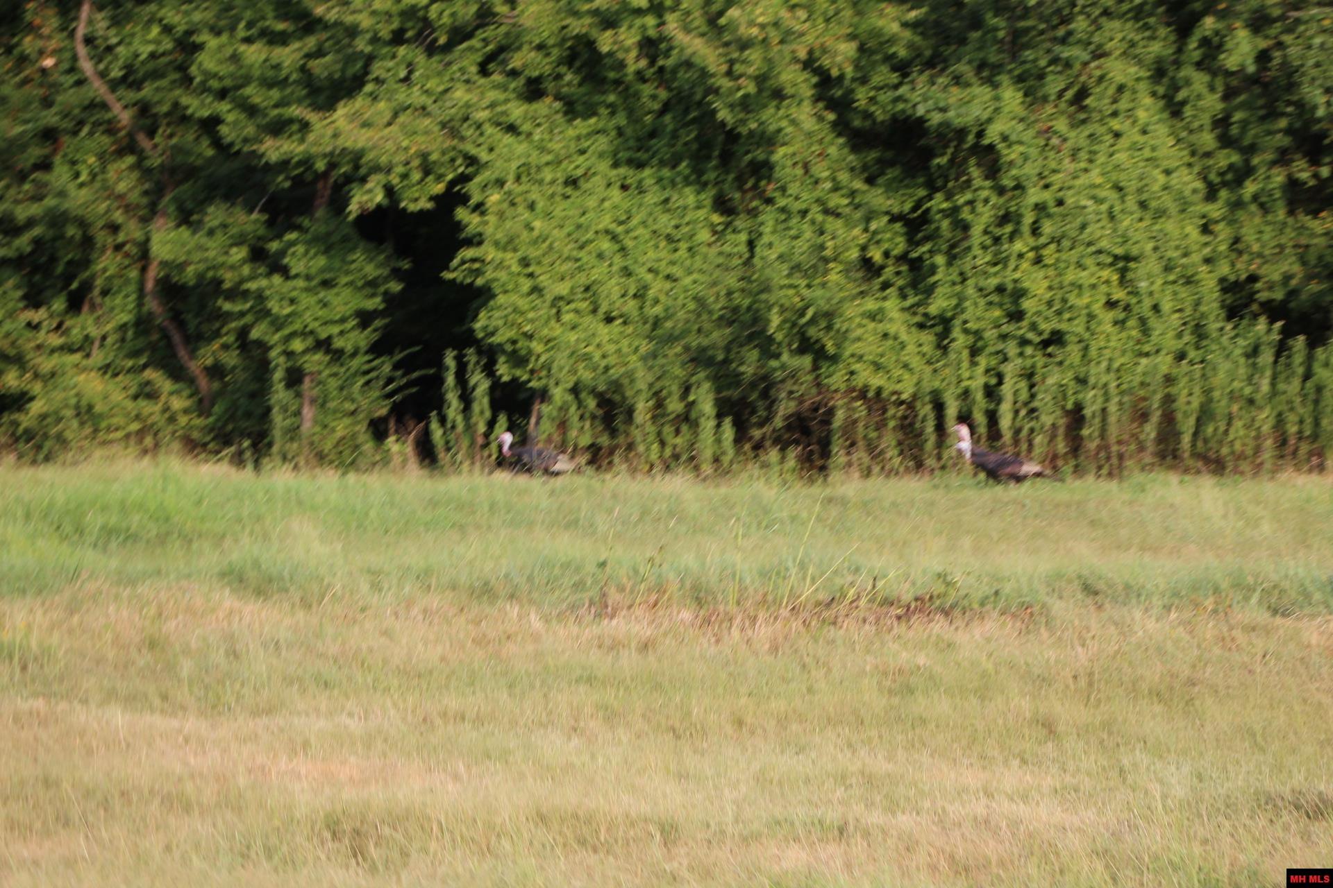 001-07419-000 Mc 4003