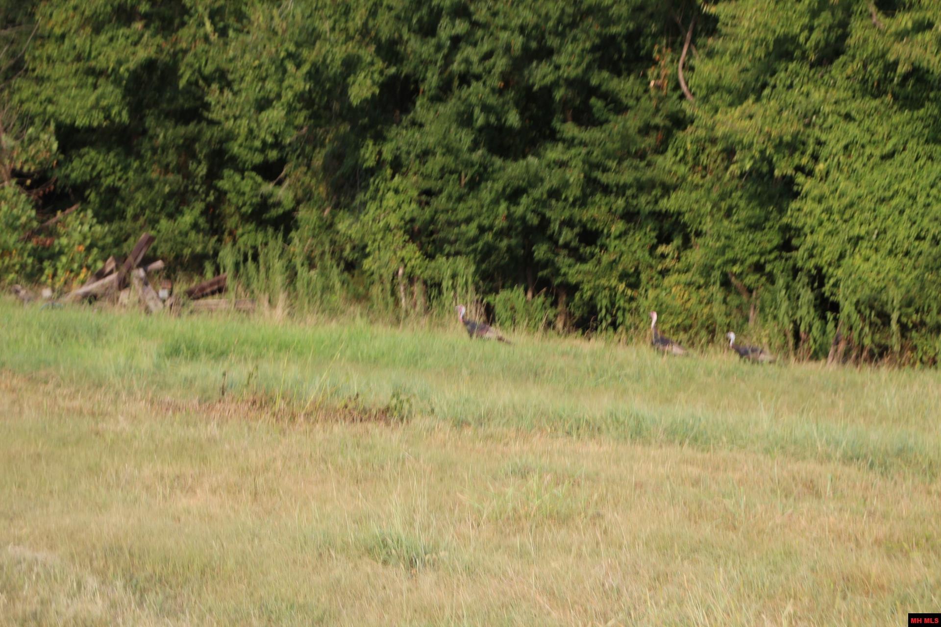 001-07419-000 Mc 4003