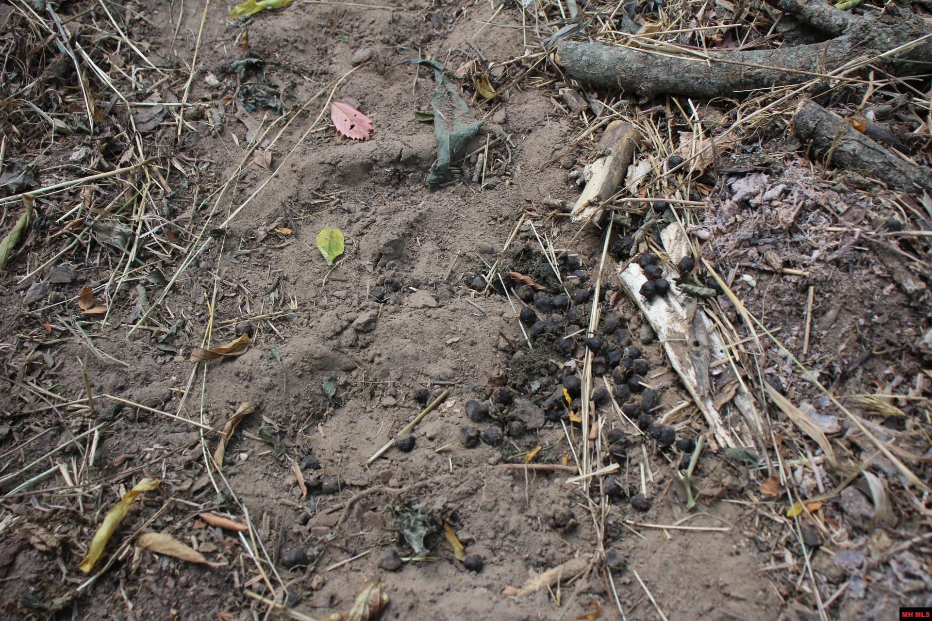 001-07419-000 Mc 4003