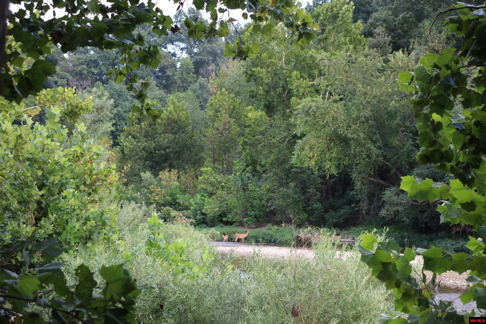 001-07419-000 Mc 4003