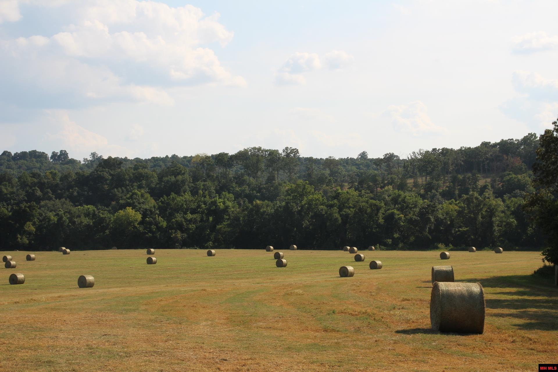 001-07419-000 Mc 4003