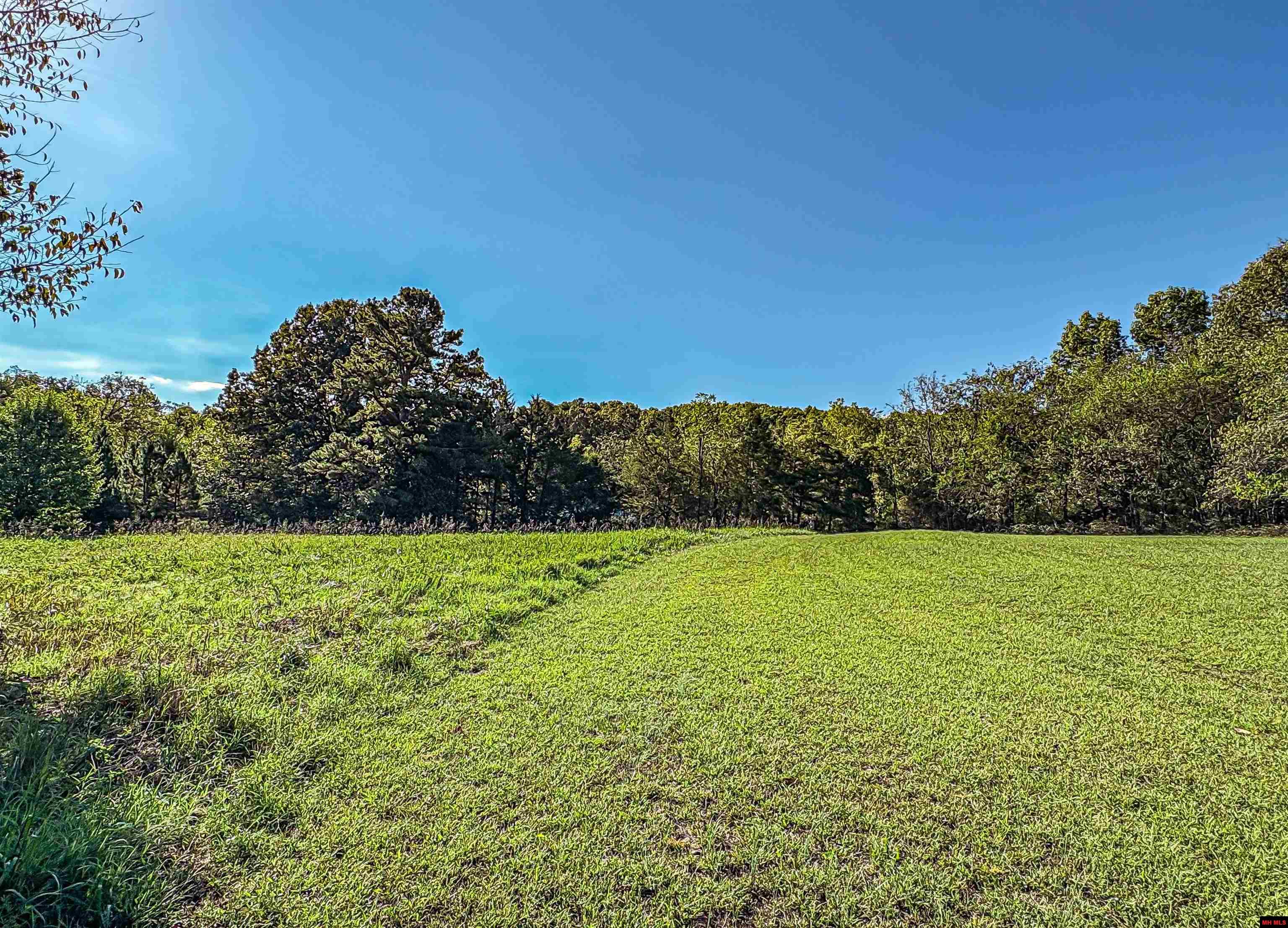 2114 E HWY 206 Yellville, AR 72687