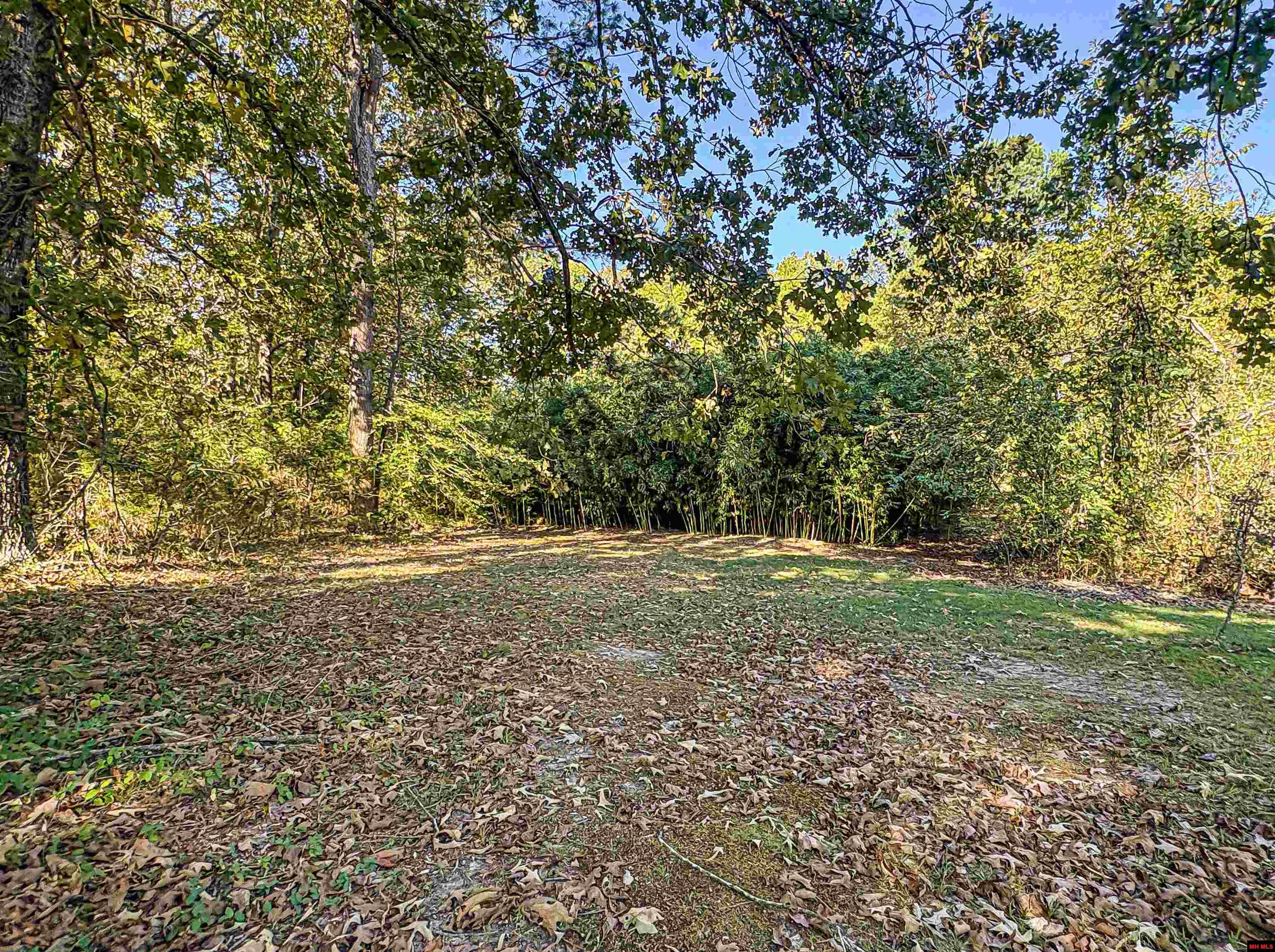 2114 E HWY 206 Yellville, AR 72687