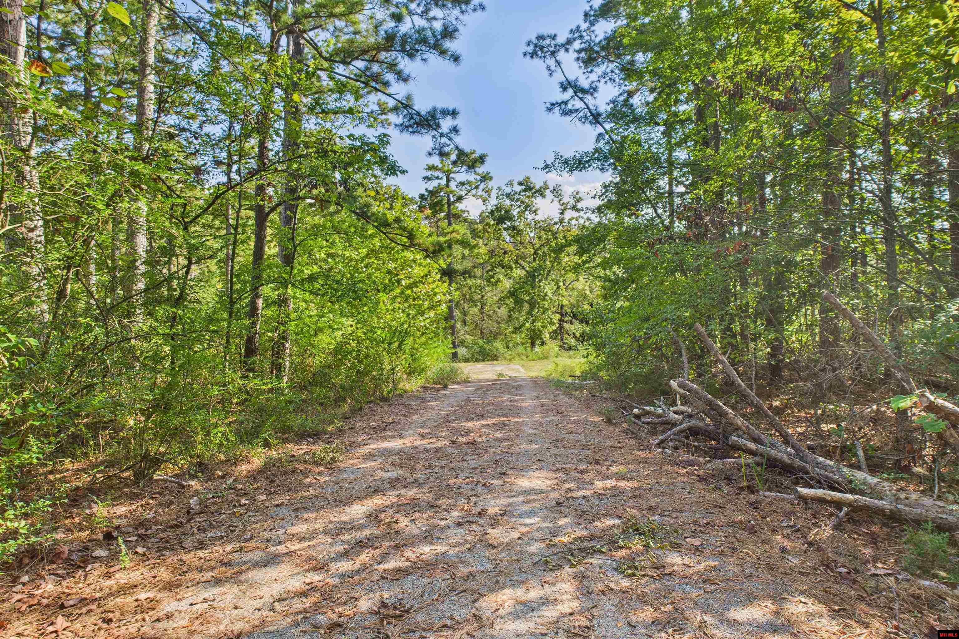 47 VALLEY VIEW COURT Salesville, AR