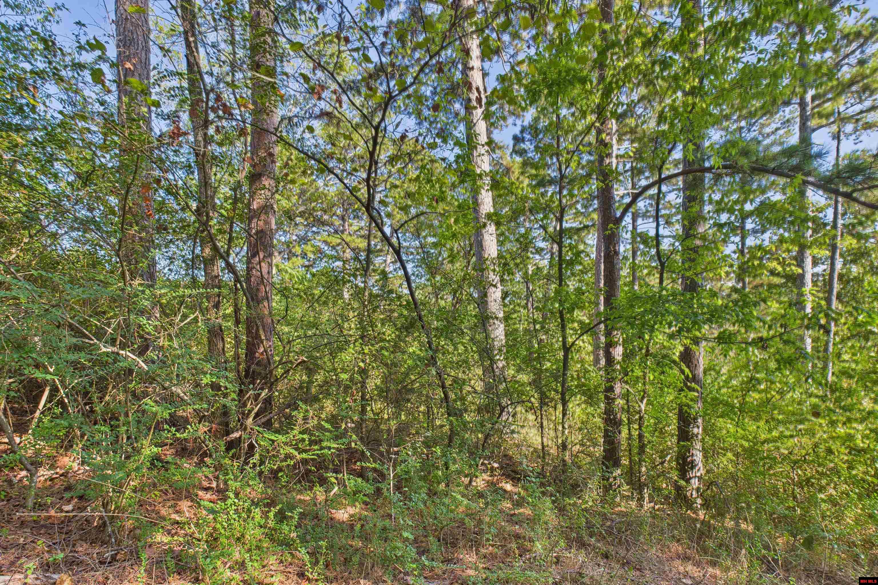 47 VALLEY VIEW COURT Salesville, AR
