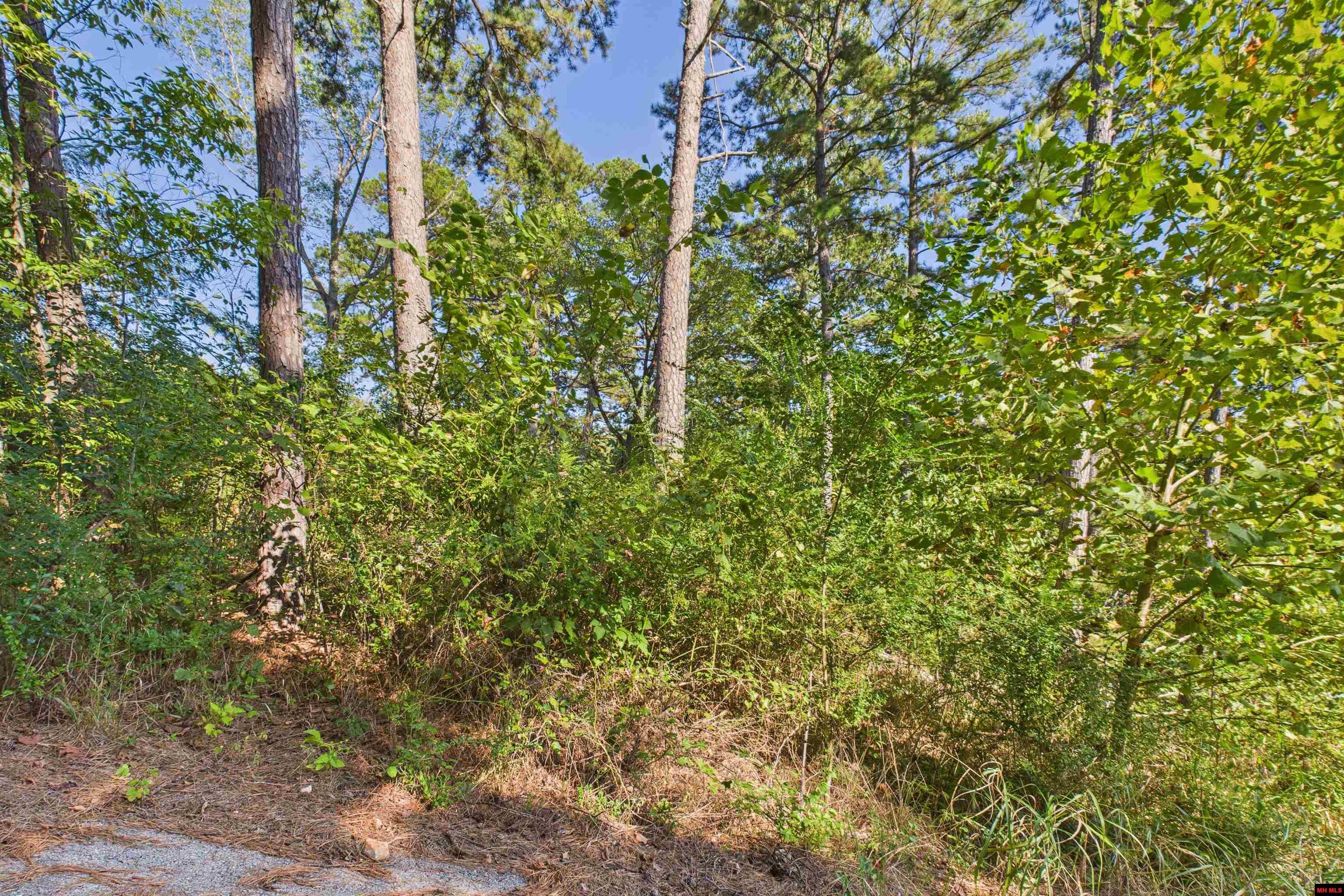 47 VALLEY VIEW COURT Salesville, AR