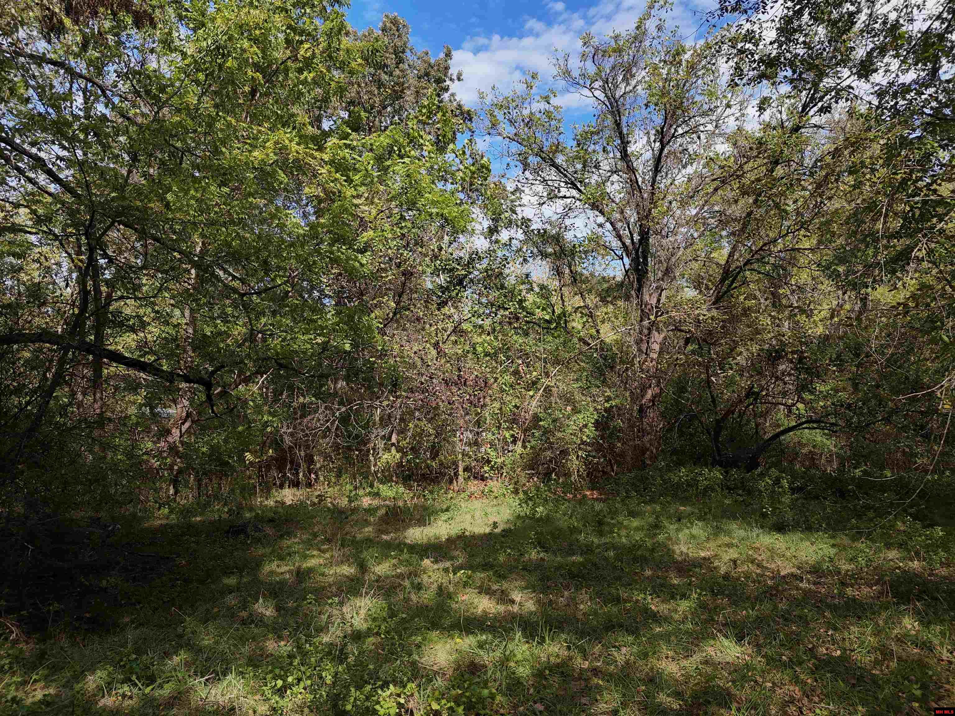 810 & 799 CR 710 Gassville, AR 72653