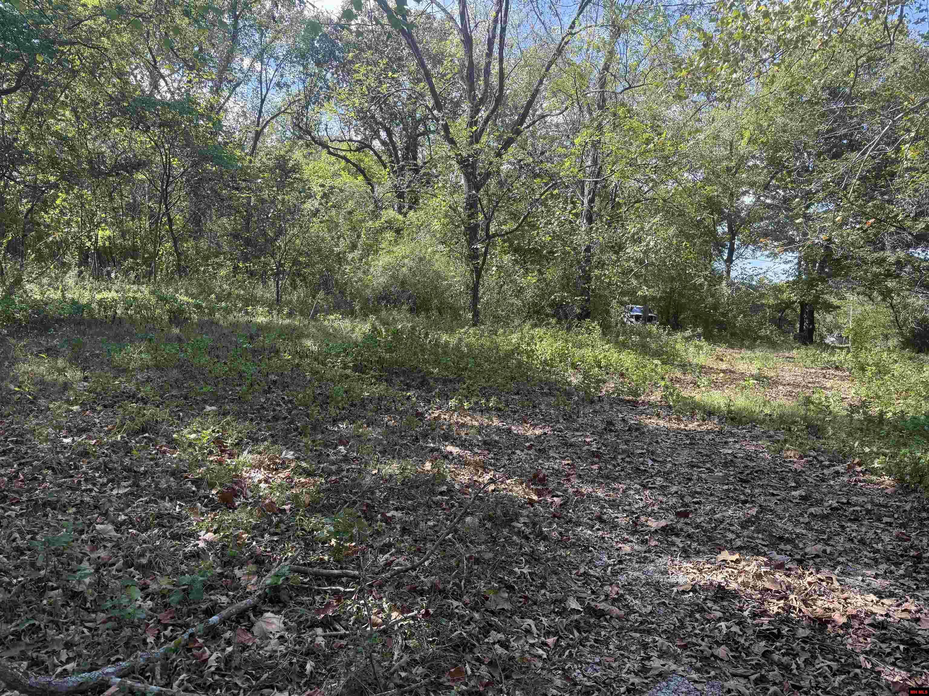 810 & 799 CR 710 Gassville, AR 72653