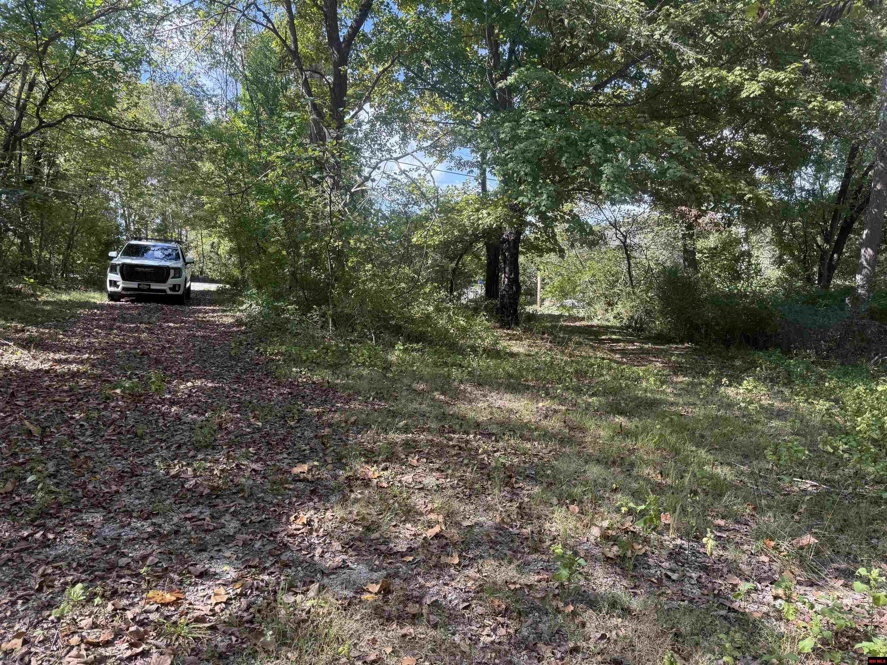 810 & 799 CR 710 Gassville, AR 72653