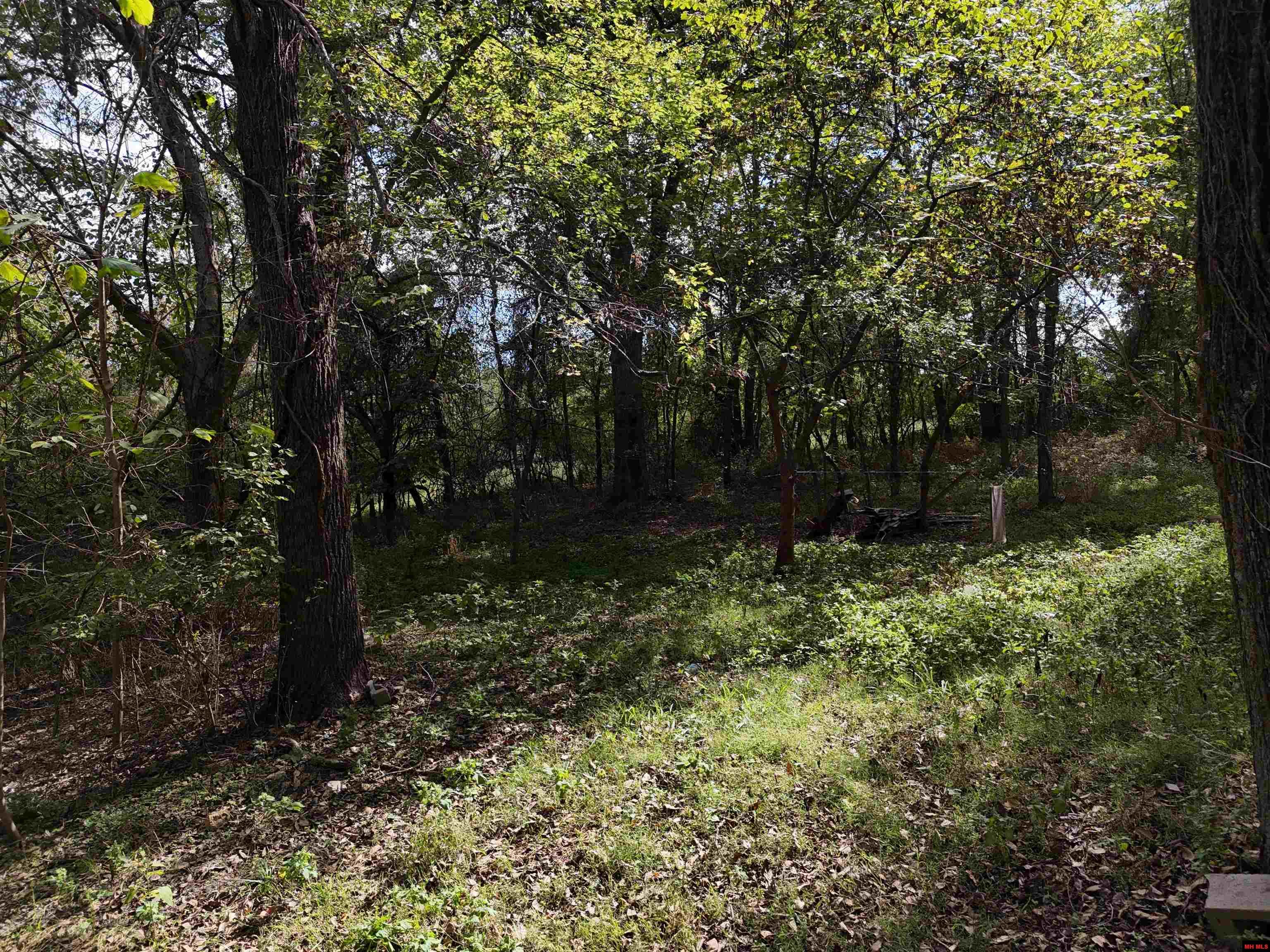 810 & 799 CR 710 Gassville, AR 72653