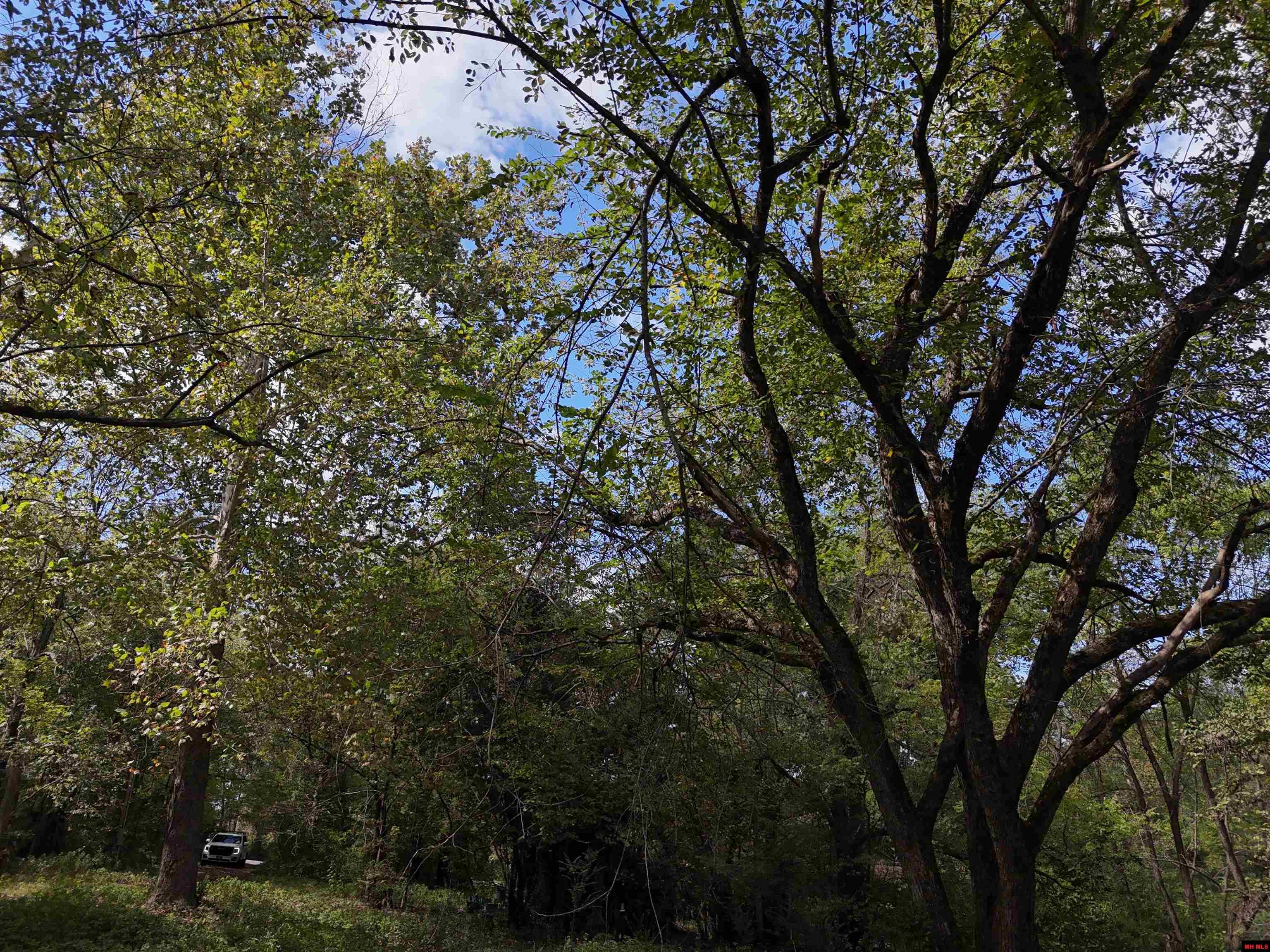 810 & 799 CR 710 Gassville, AR 72653