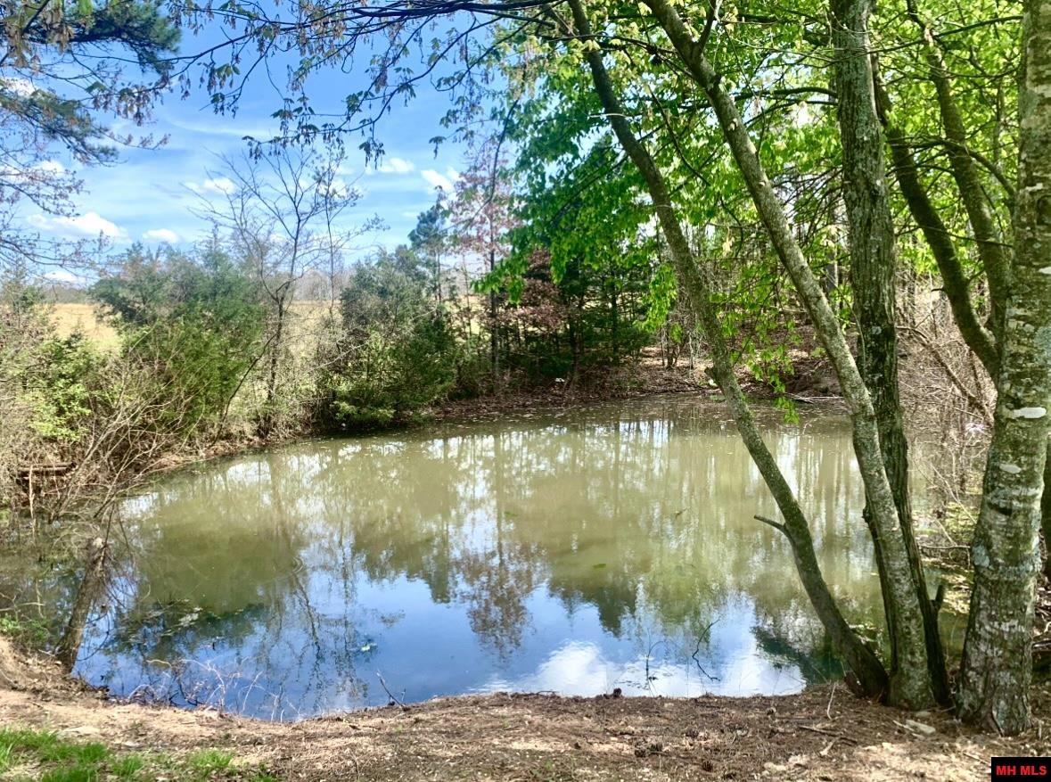 3503 HWY 223 Pineville, AR 72566