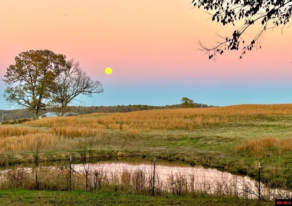 3503 HWY 223 Pineville, AR 72566