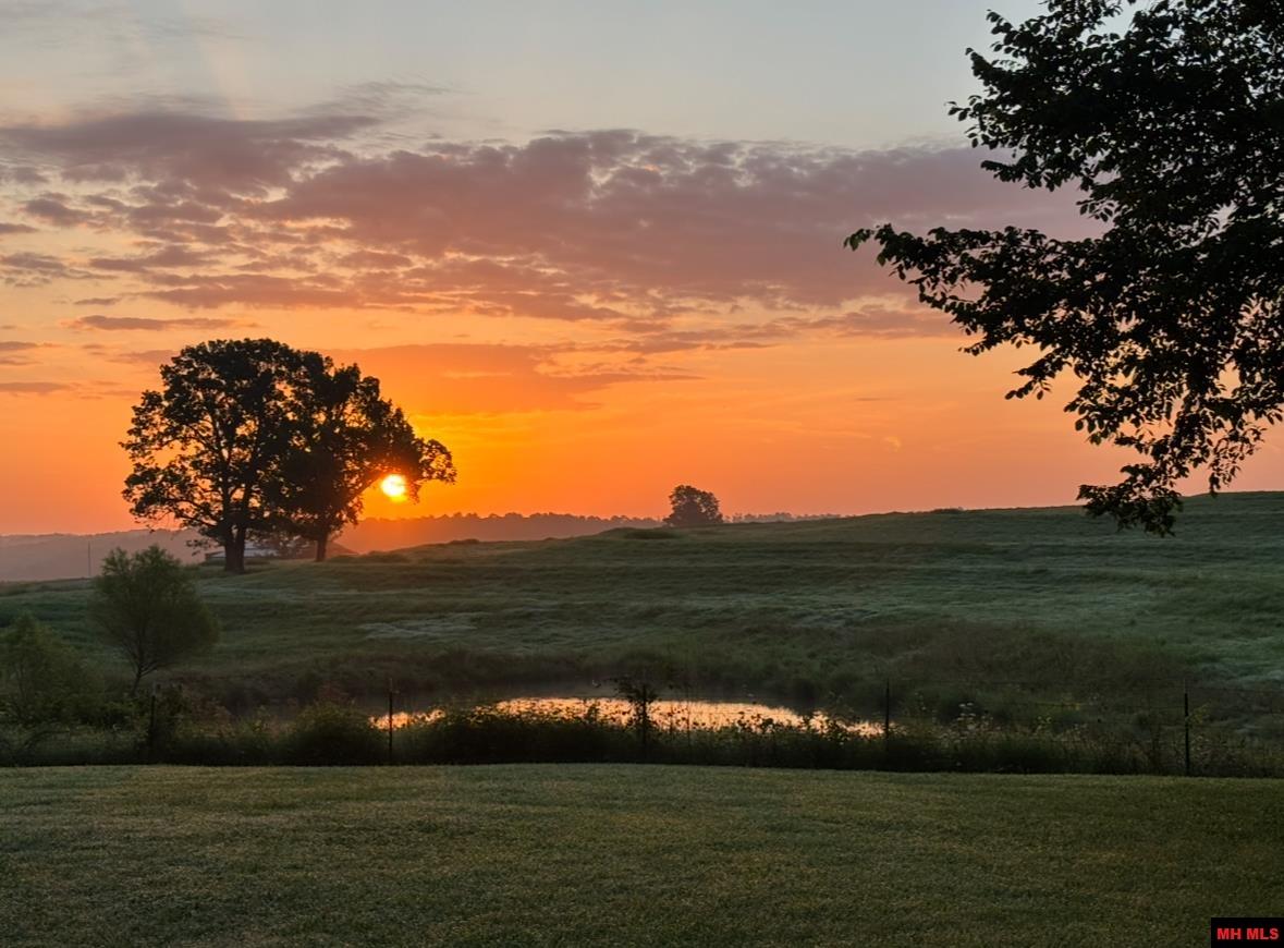 3503 HWY 223 Pineville, AR 72566