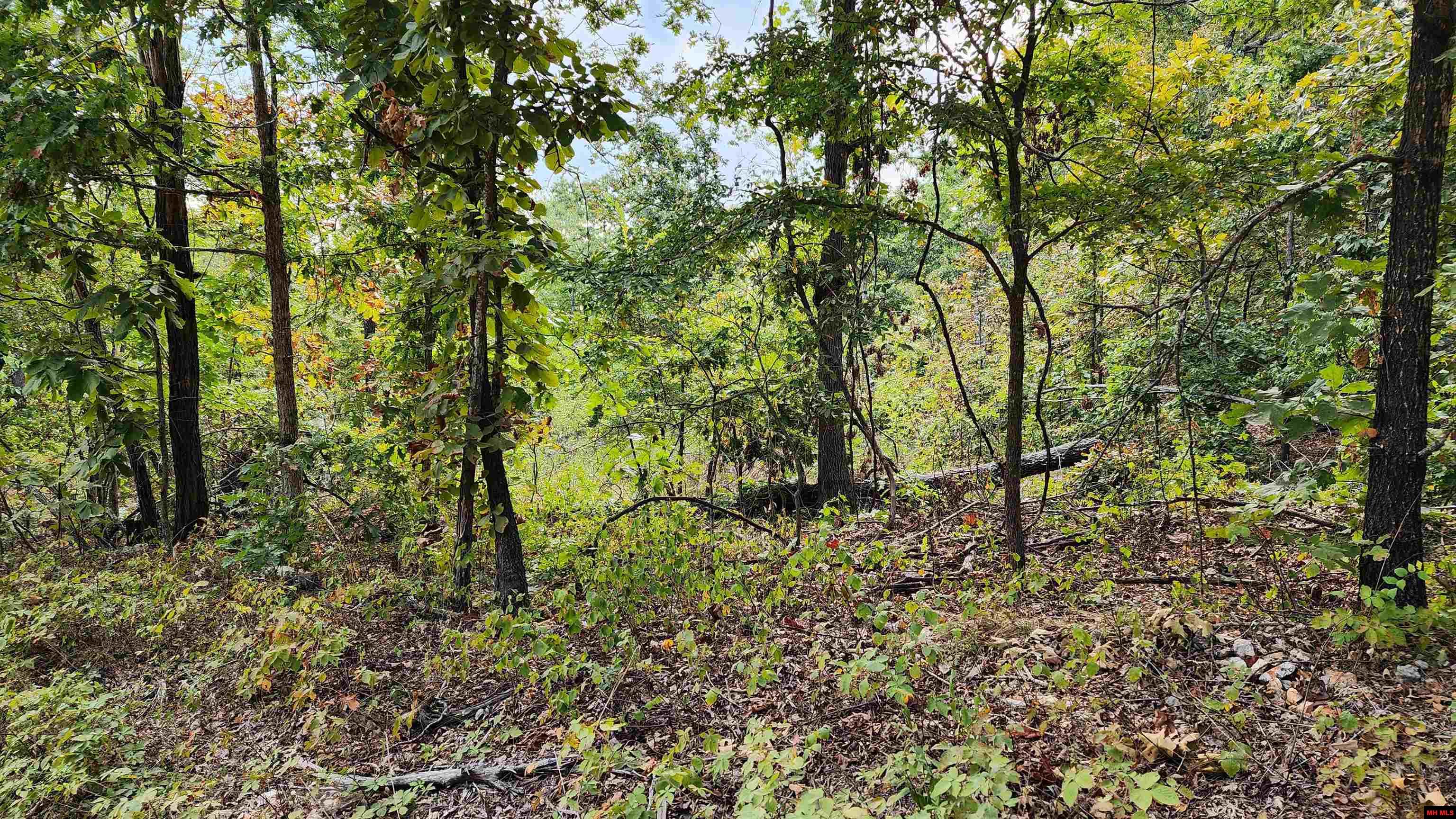 6901 MC 8061 Flippin, AR