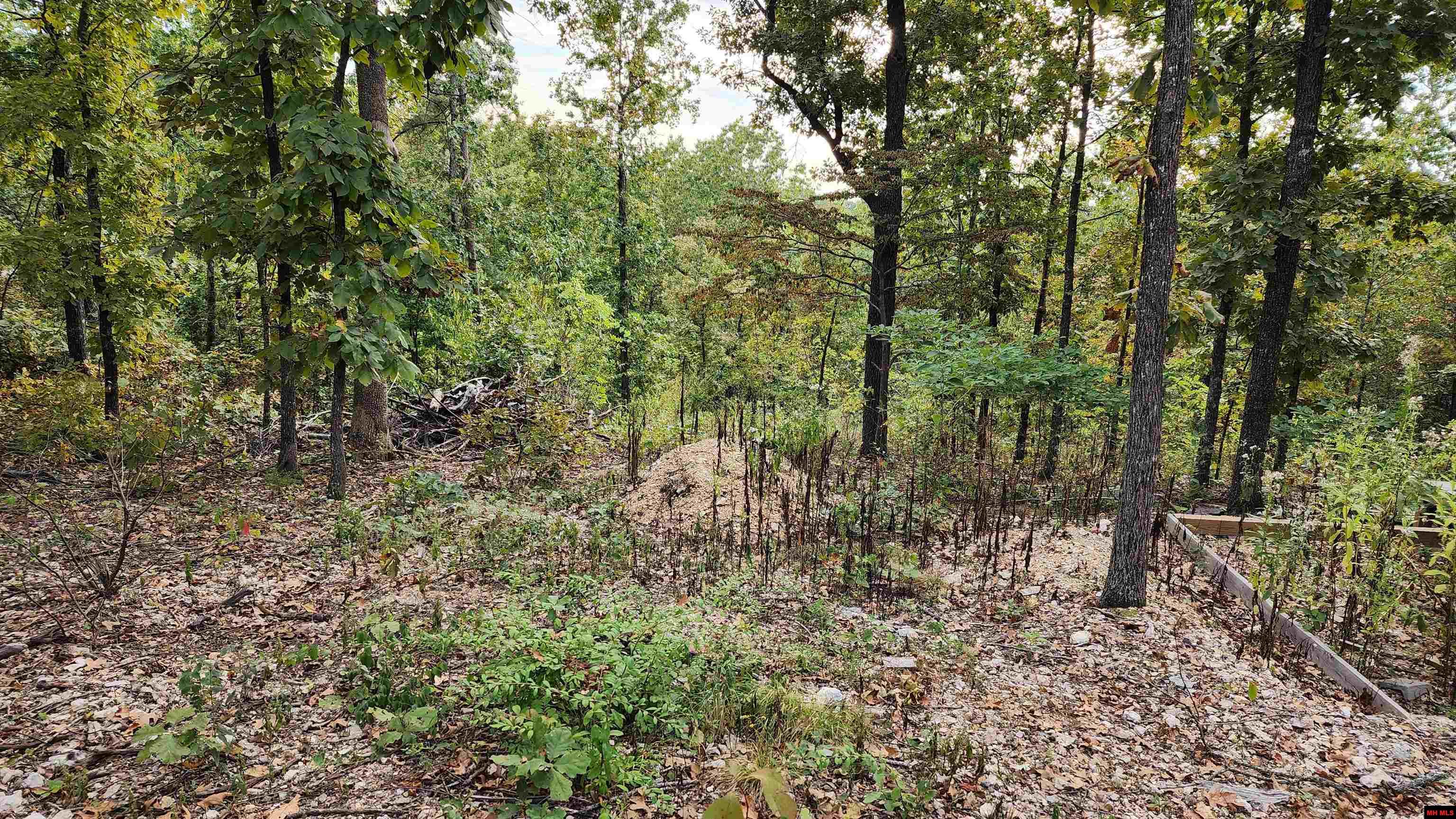 6901 MC 8061 Flippin, AR