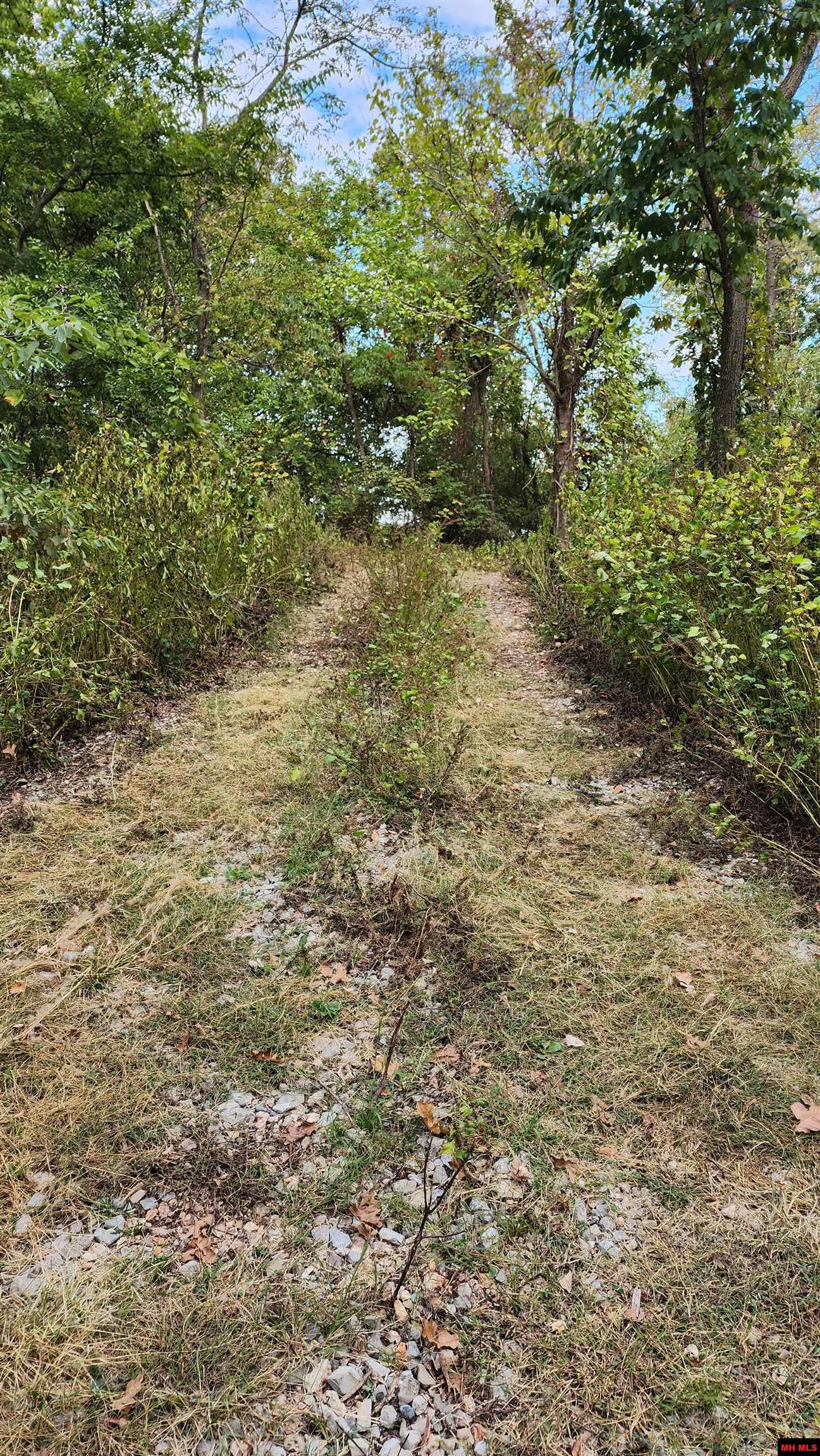 6901 MC 8061 Flippin, AR